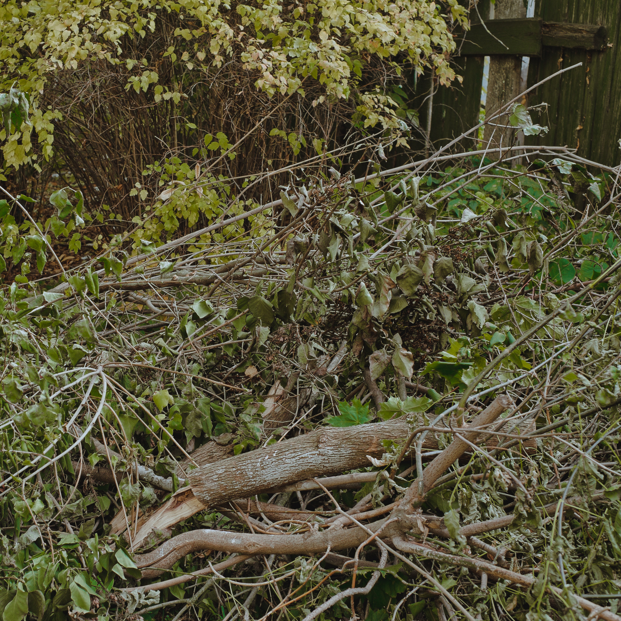 About Nizhny Novgorod. Photographer from Nizhny Novgorod Lyamina Elena