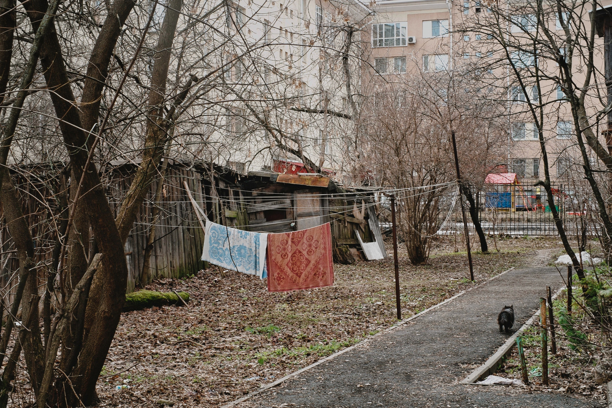 About Nizhny Novgorod. Photographer from Nizhny Novgorod Lyamina Elena