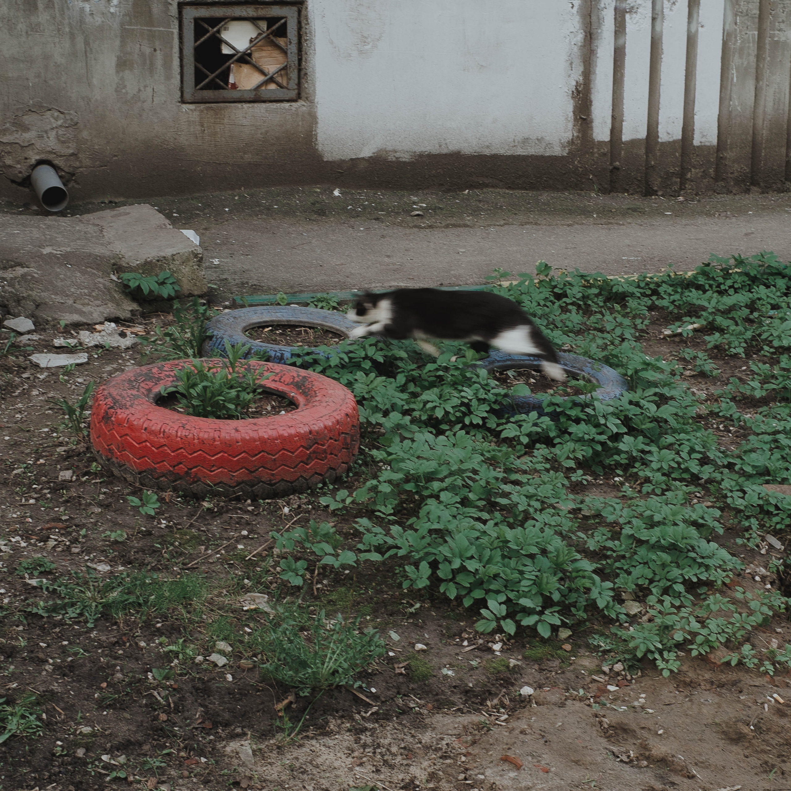 About Nizhny Novgorod. Photographer from Nizhny Novgorod Lyamina Elena