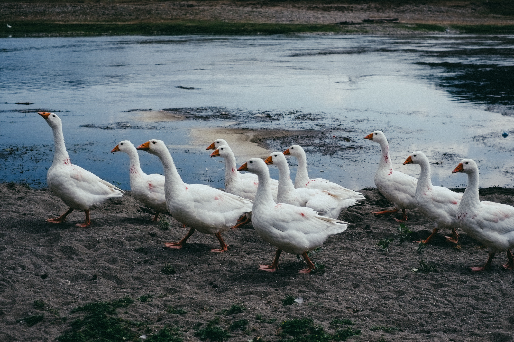 Фотограф в Нижнем Новгороде Елена Лямина