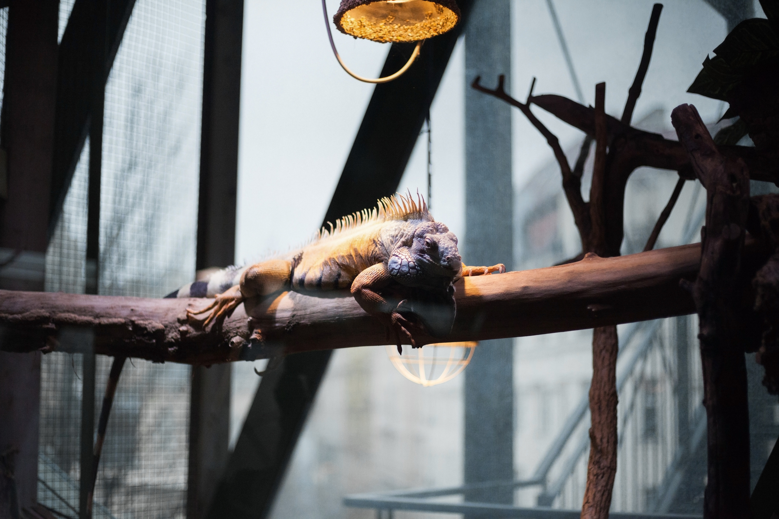 Фотограф в Нижнем Новгороде Елена Лямина