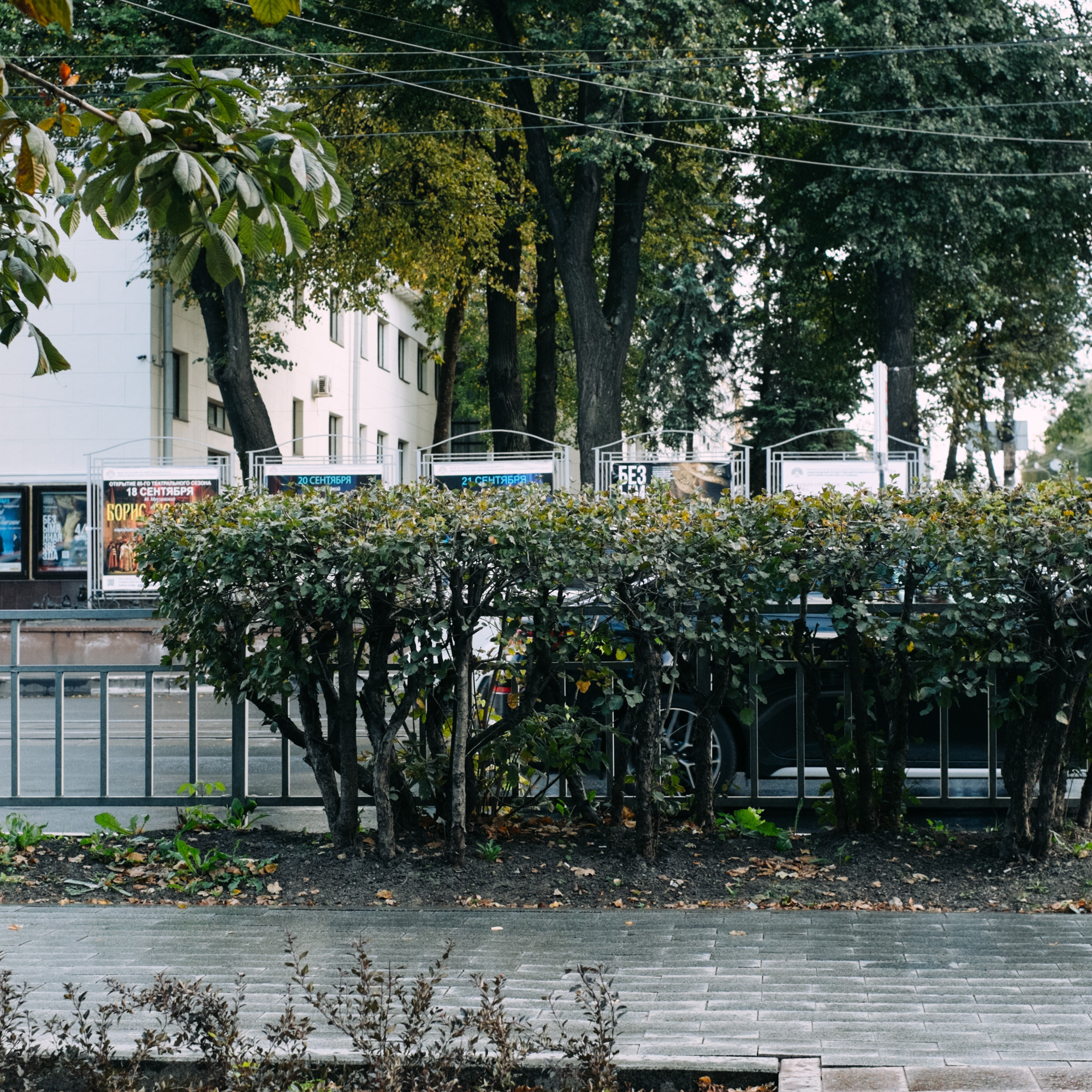 About Nizhny Novgorod. Photographer from Nizhny Novgorod Lyamina Elena