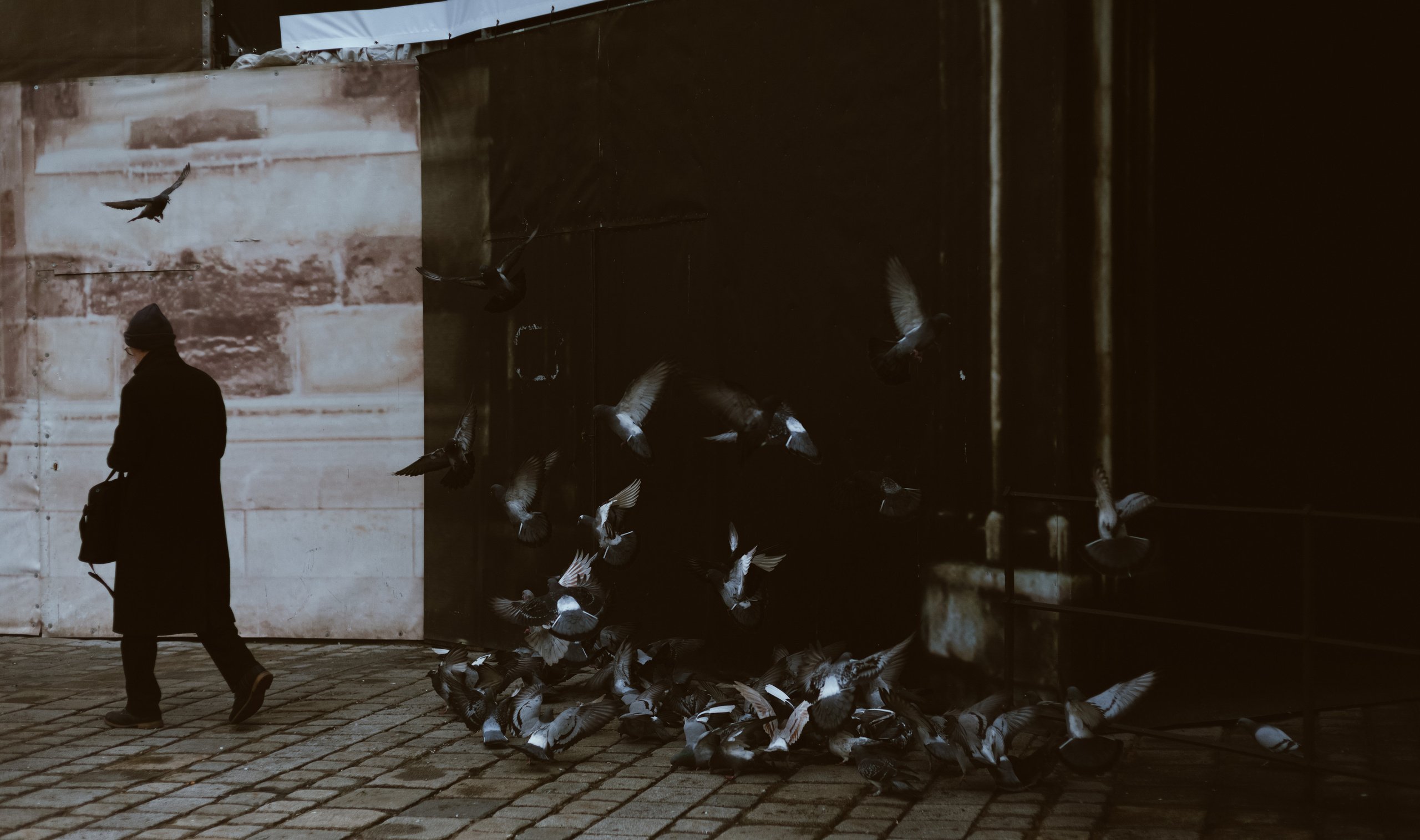 Фотограф в Нижнем Новгороде Елена Лямина