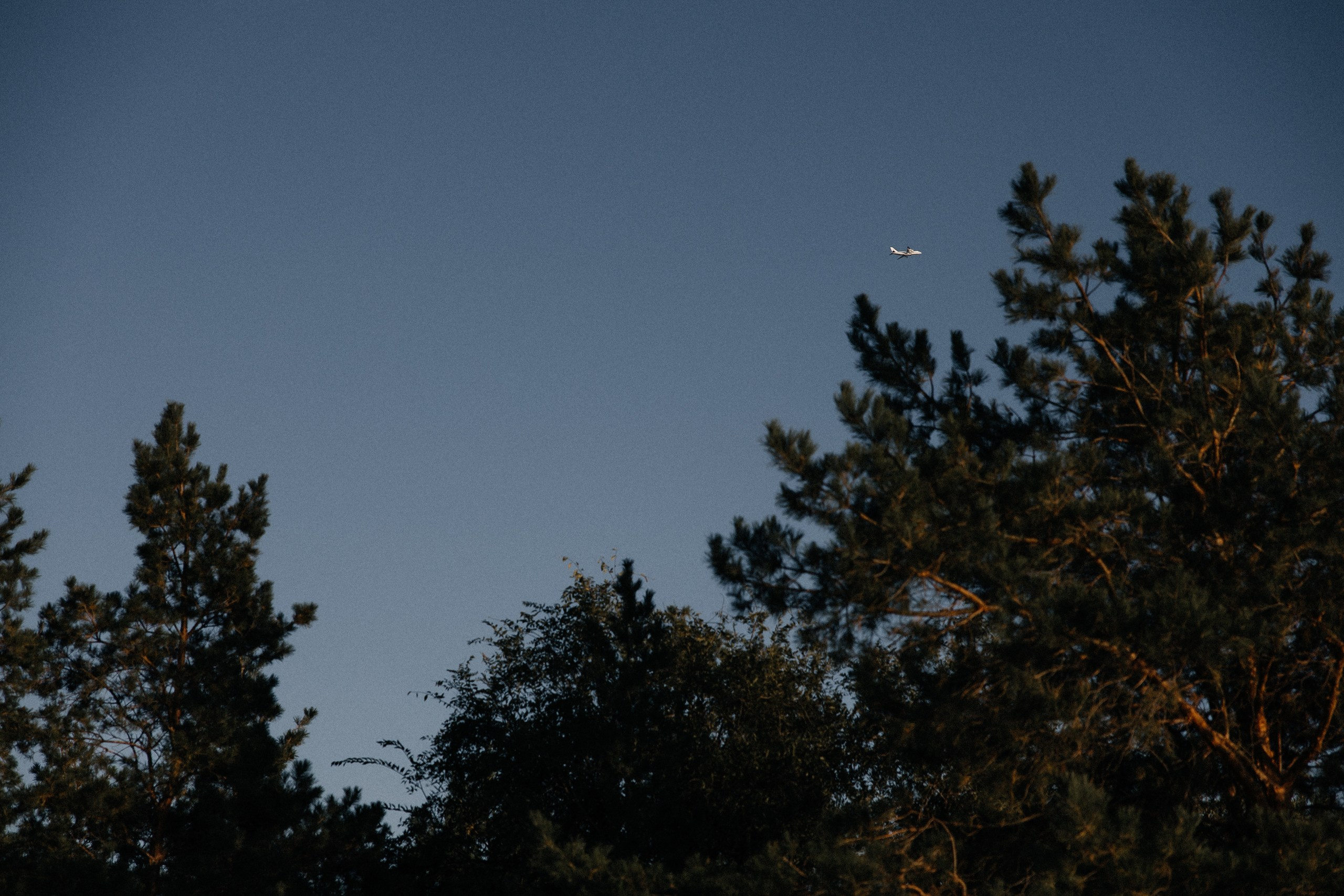 Это слишком личное, извините!. Свадебный фотограф в Ульяновске Владимир Лесников