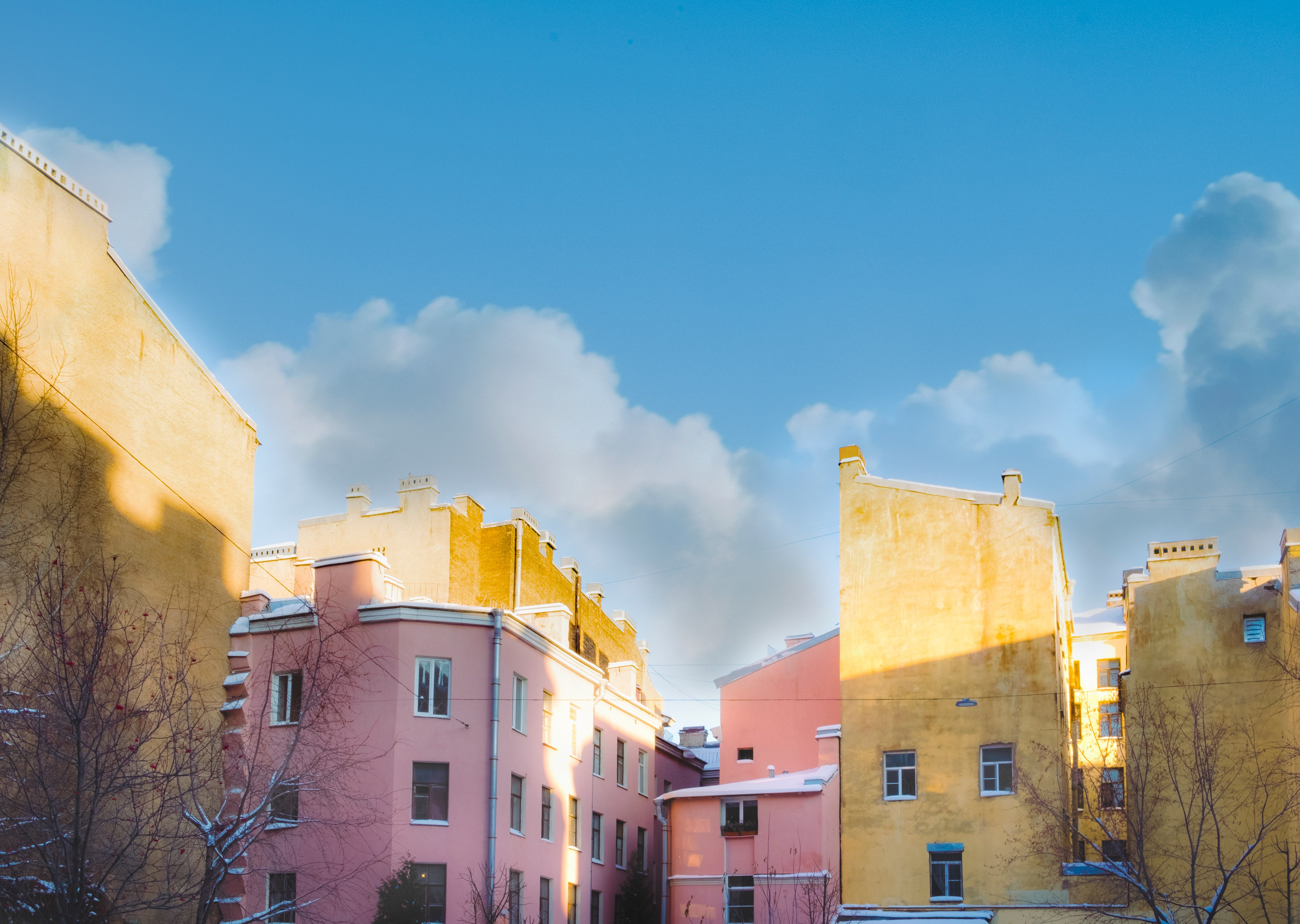 Local spb. Коллекция