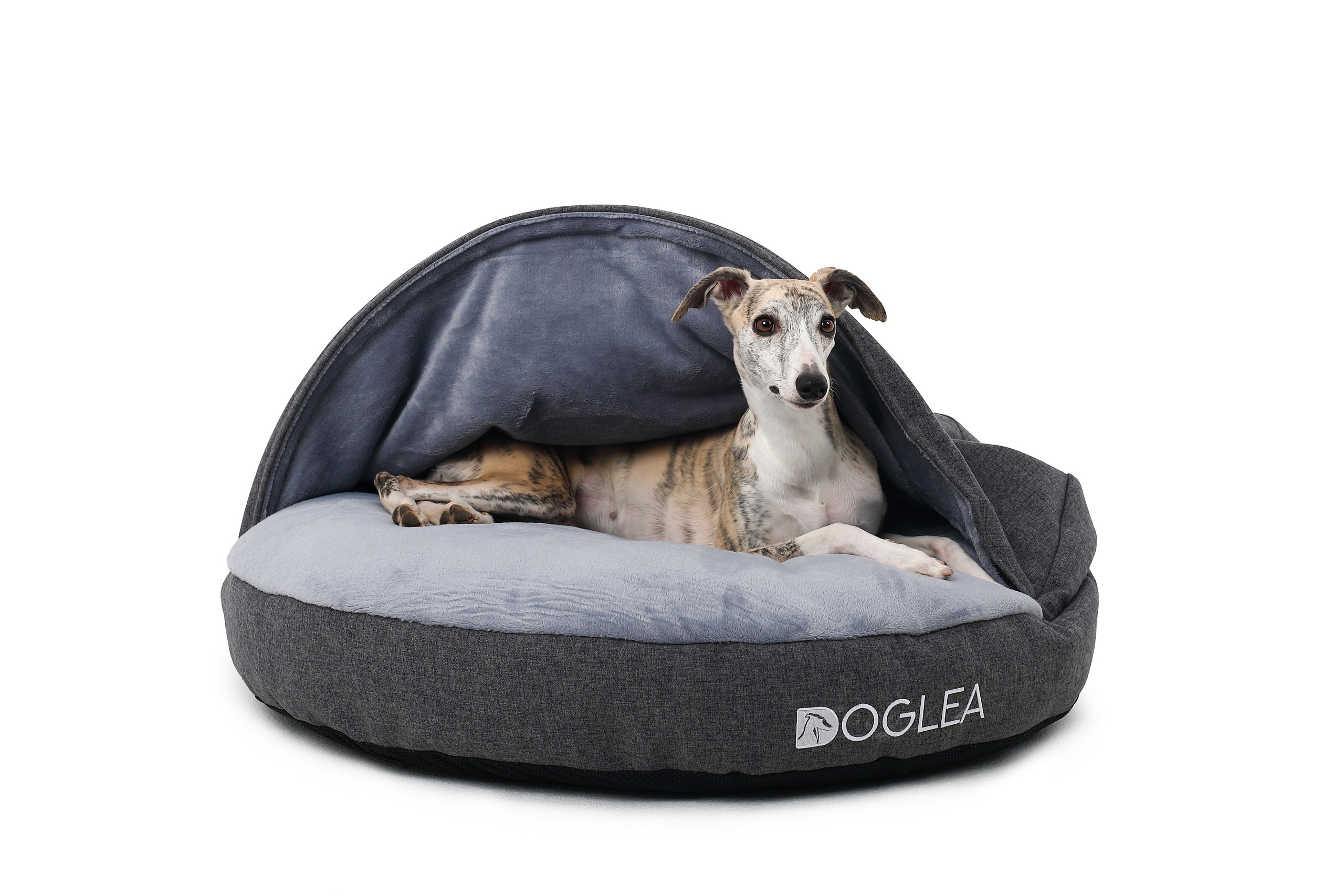 Для брендов. Фотограф- анималист Санкт-Петербург