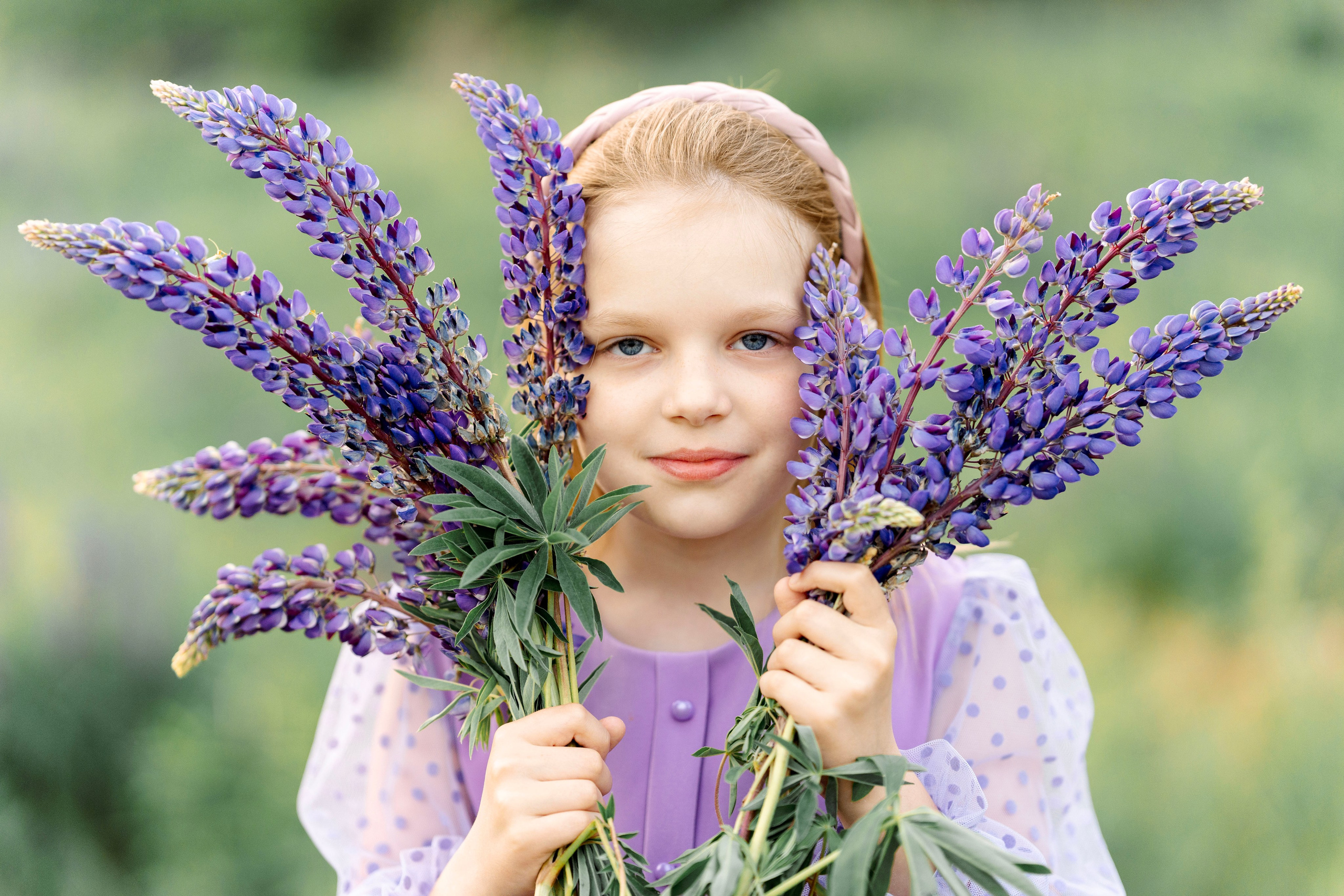 Люпины. Фотограф Юлия Попова