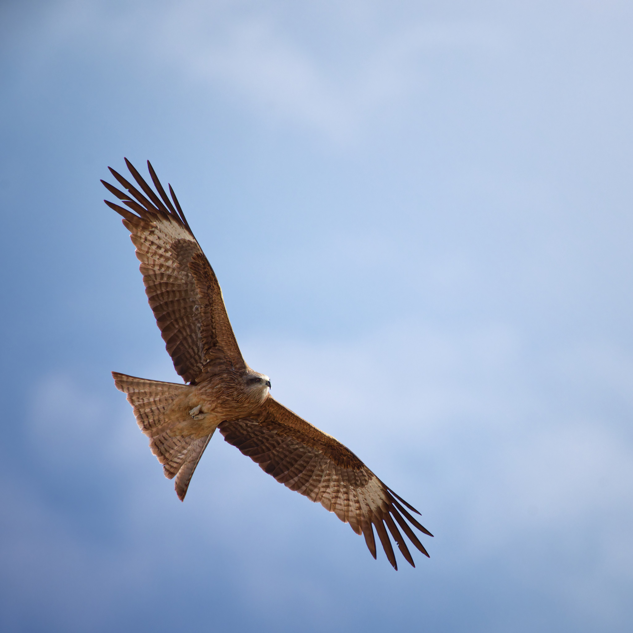 Экспедиция в Монголию (Гоби). Семоха Валерий. Фотограф
