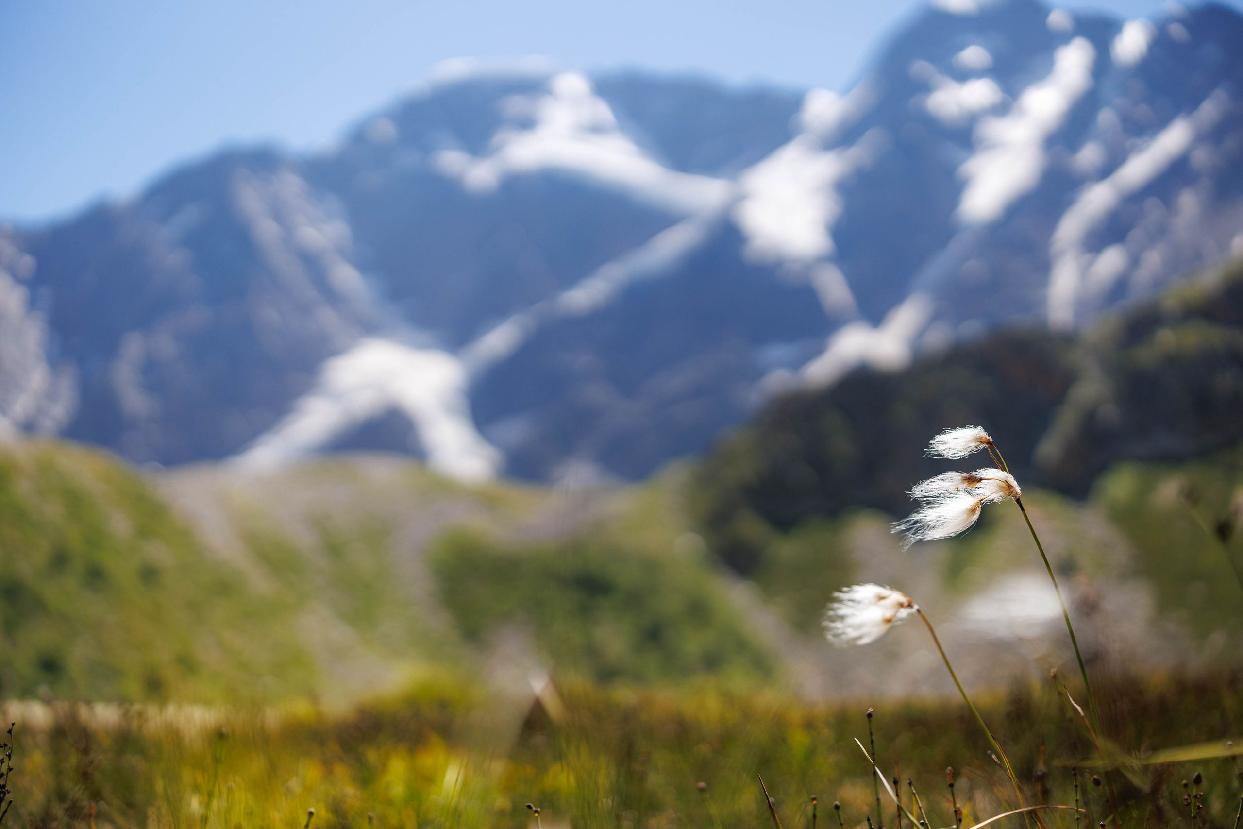 Путешествия. Фотограф в Москве Повеквечных Софья