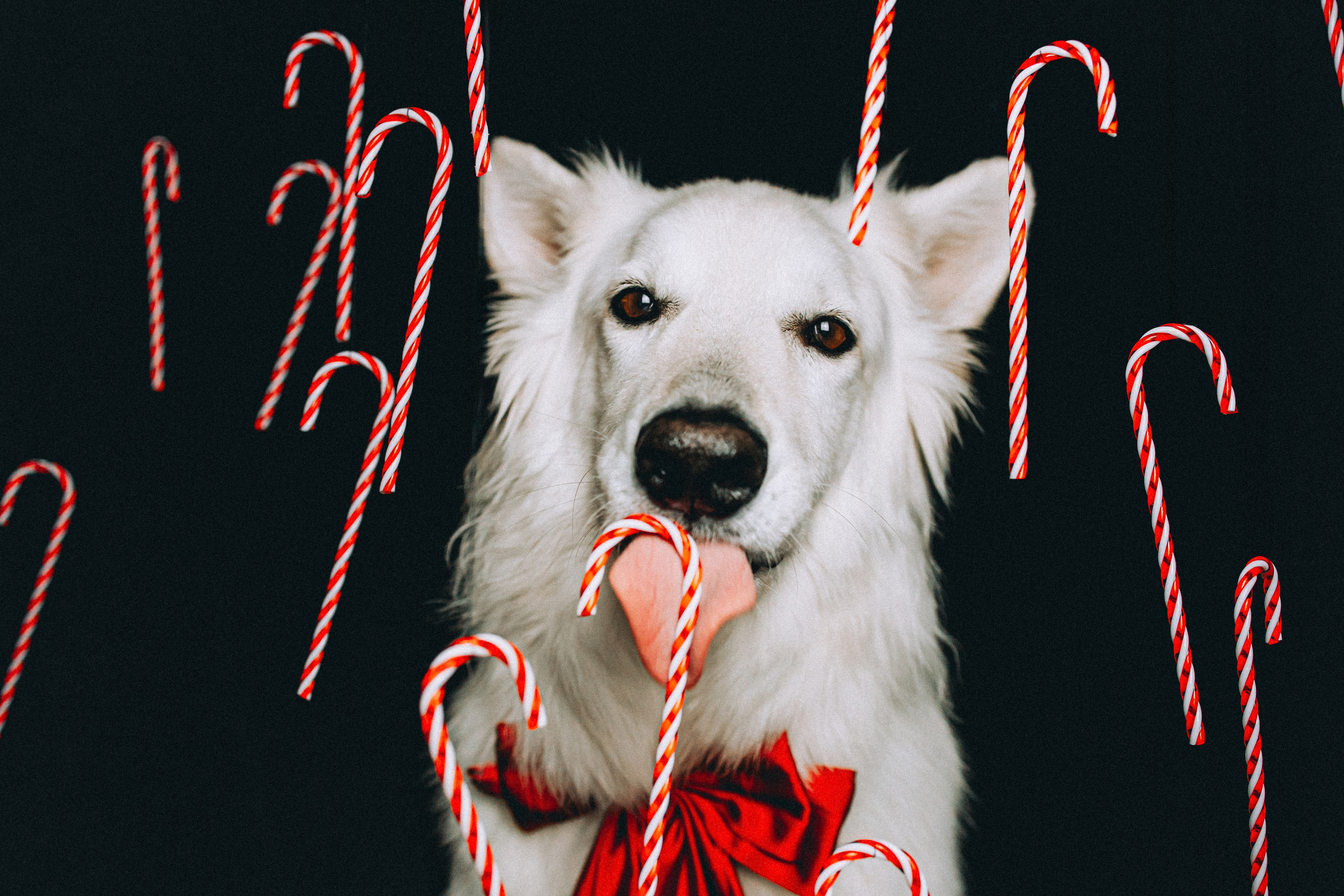 Джек, Бет и Кову