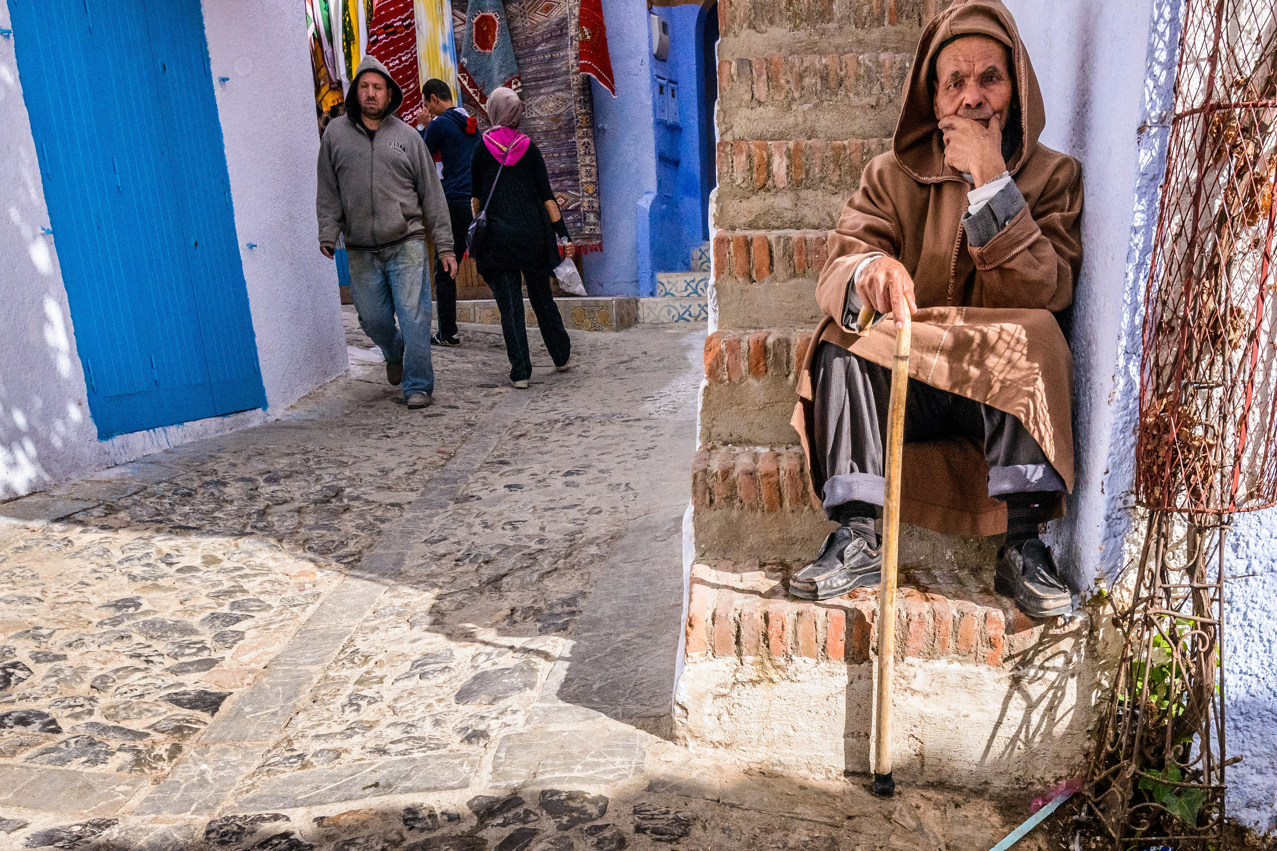 Обитатели синего города. Пейзажный фотограф Сергей Пестерев. Фото природы