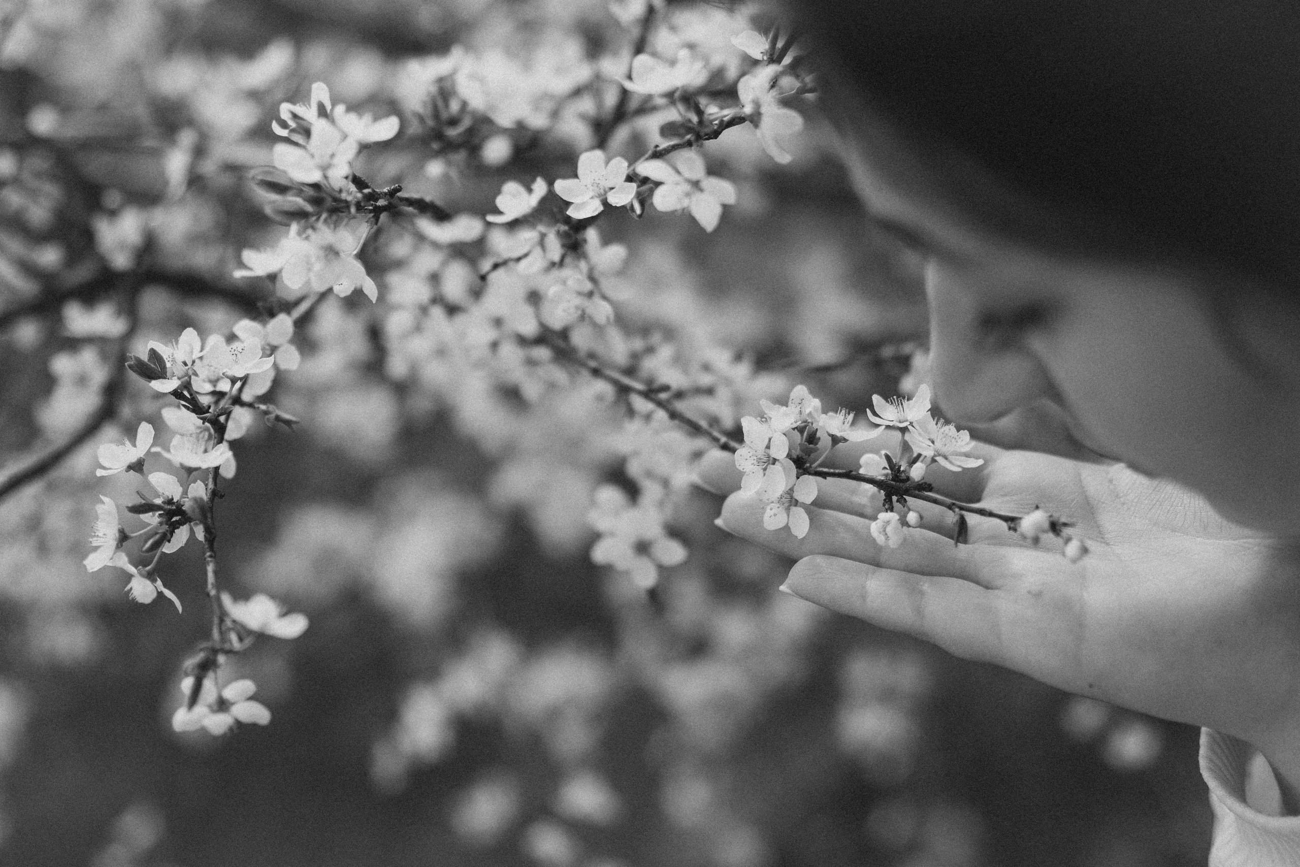 На Подкумке. Семейный фотограф и видеограф Алёна Ким