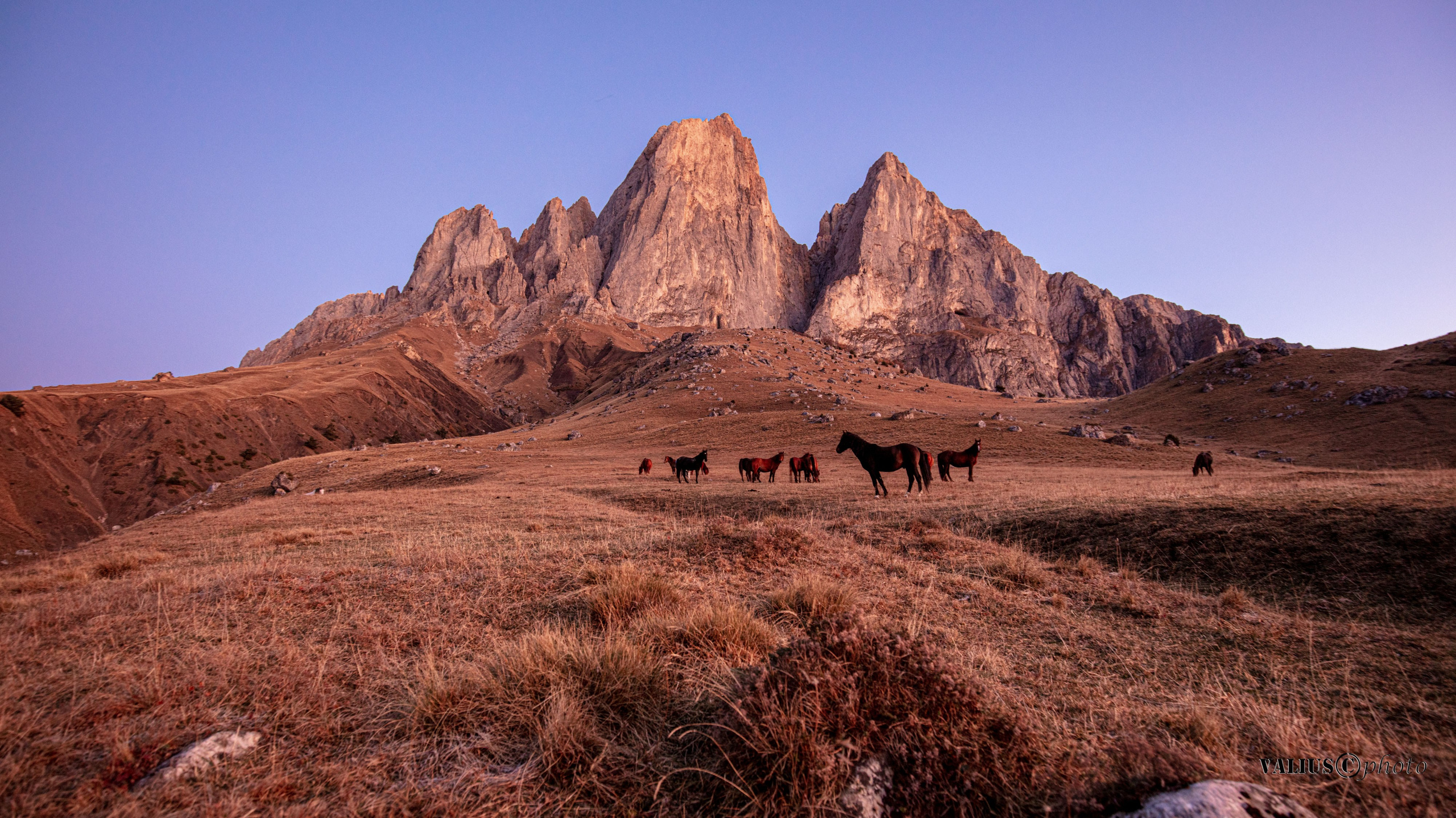 Цей-лоам, перевал с Ингушетии, по пути в заповедник Эрзи.