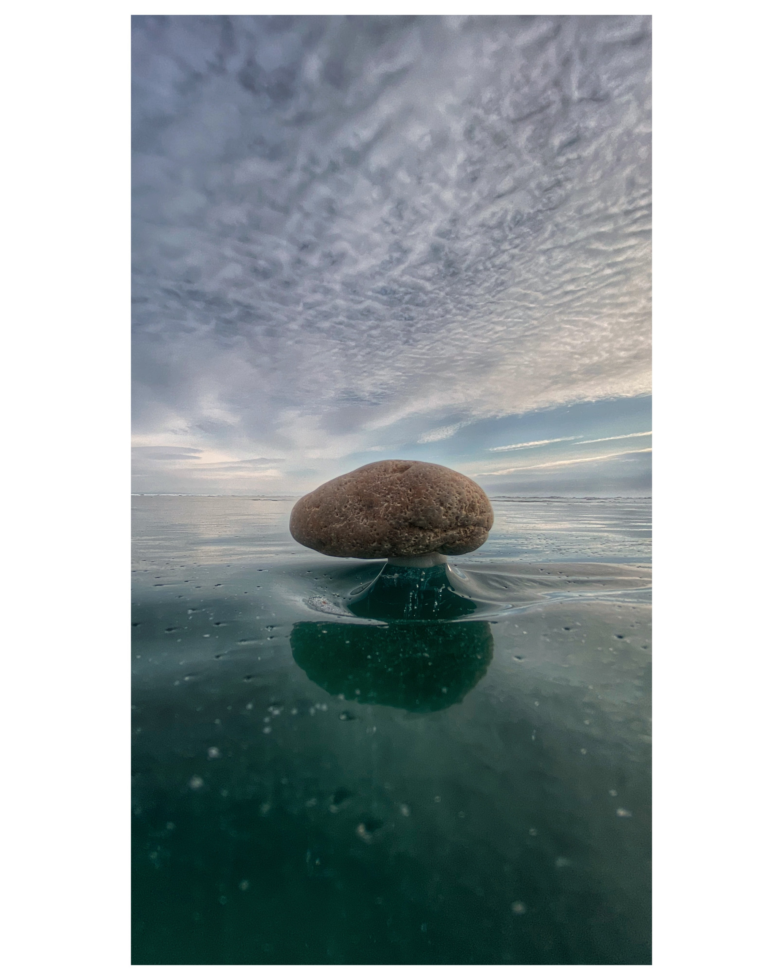 2024. Тащилин Сергей. Фотографии. Жизнь. Хобби