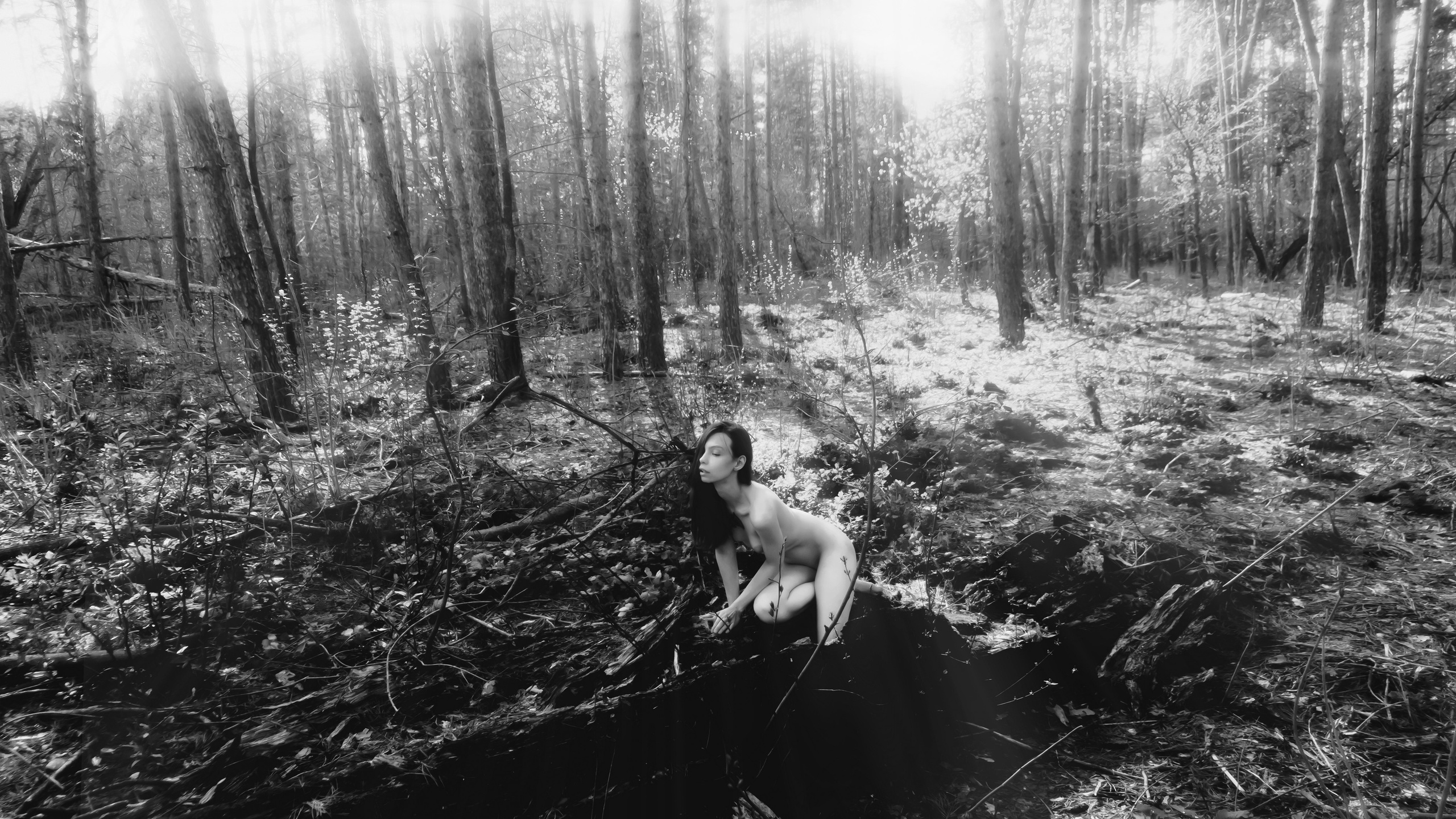 Анастасия. Лес. Дмитрий Пропадалин, Нейрофотография