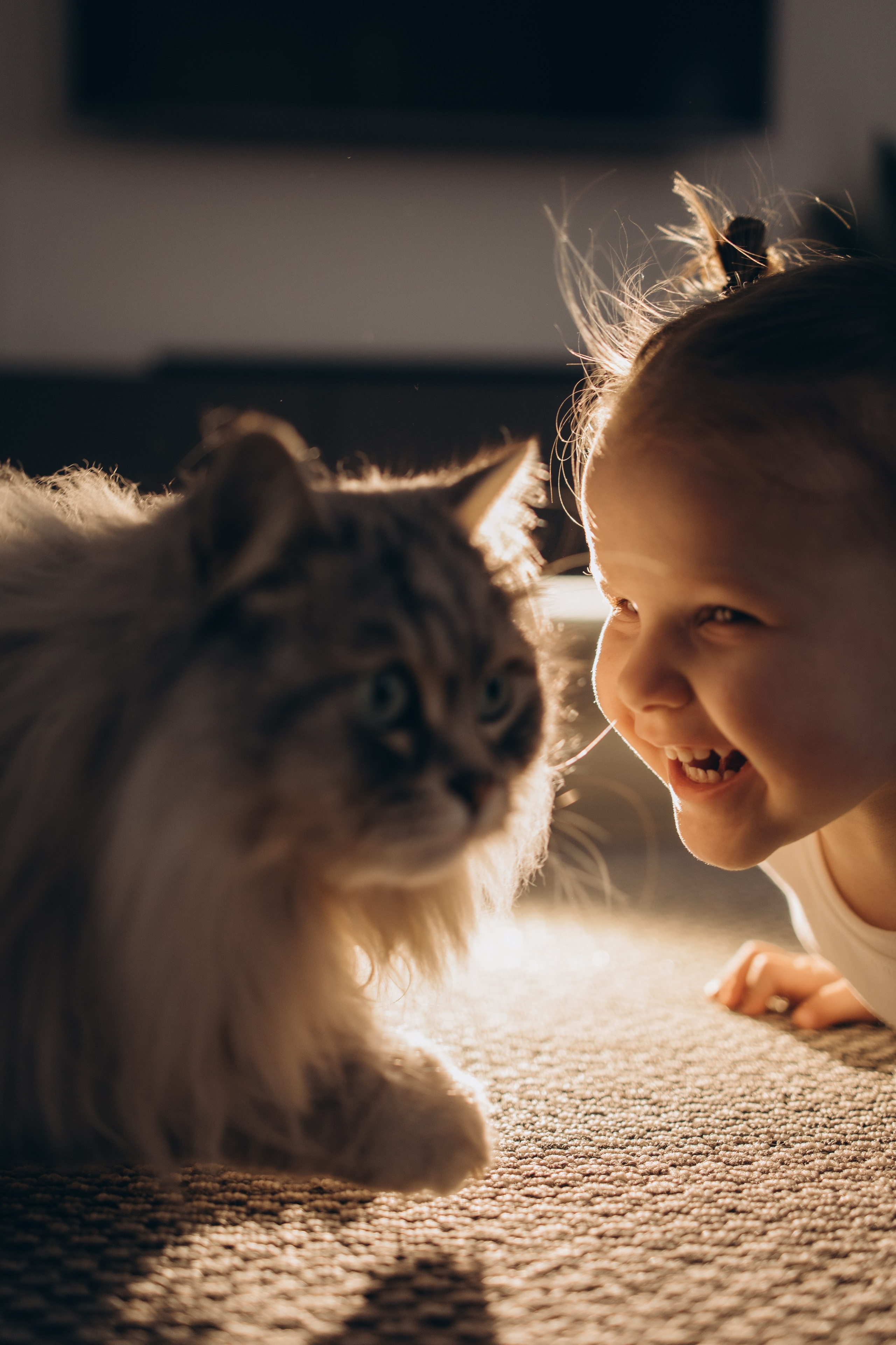 Миюше 2 годика