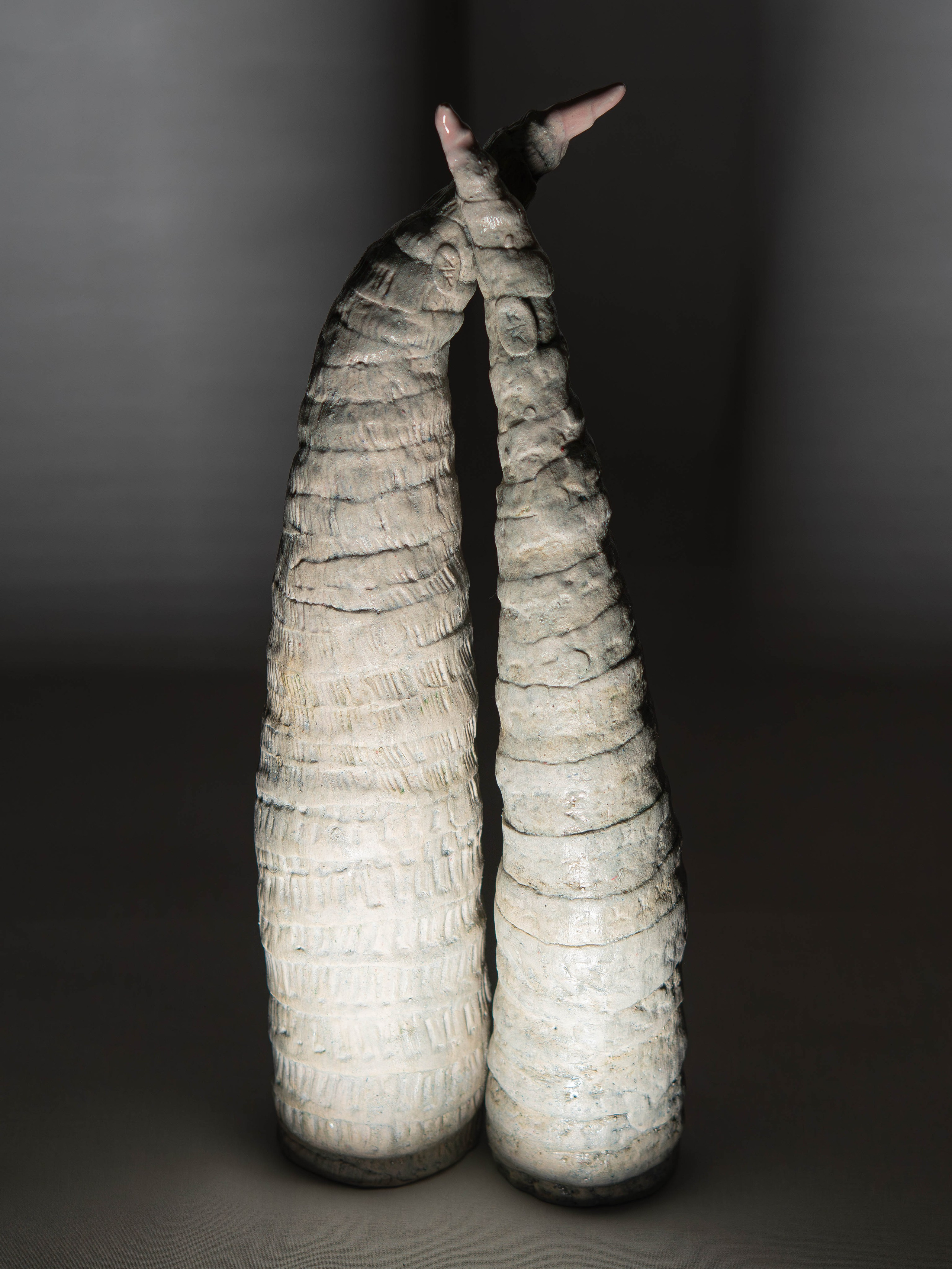 Геркуламум. Хроники. Соучастие.