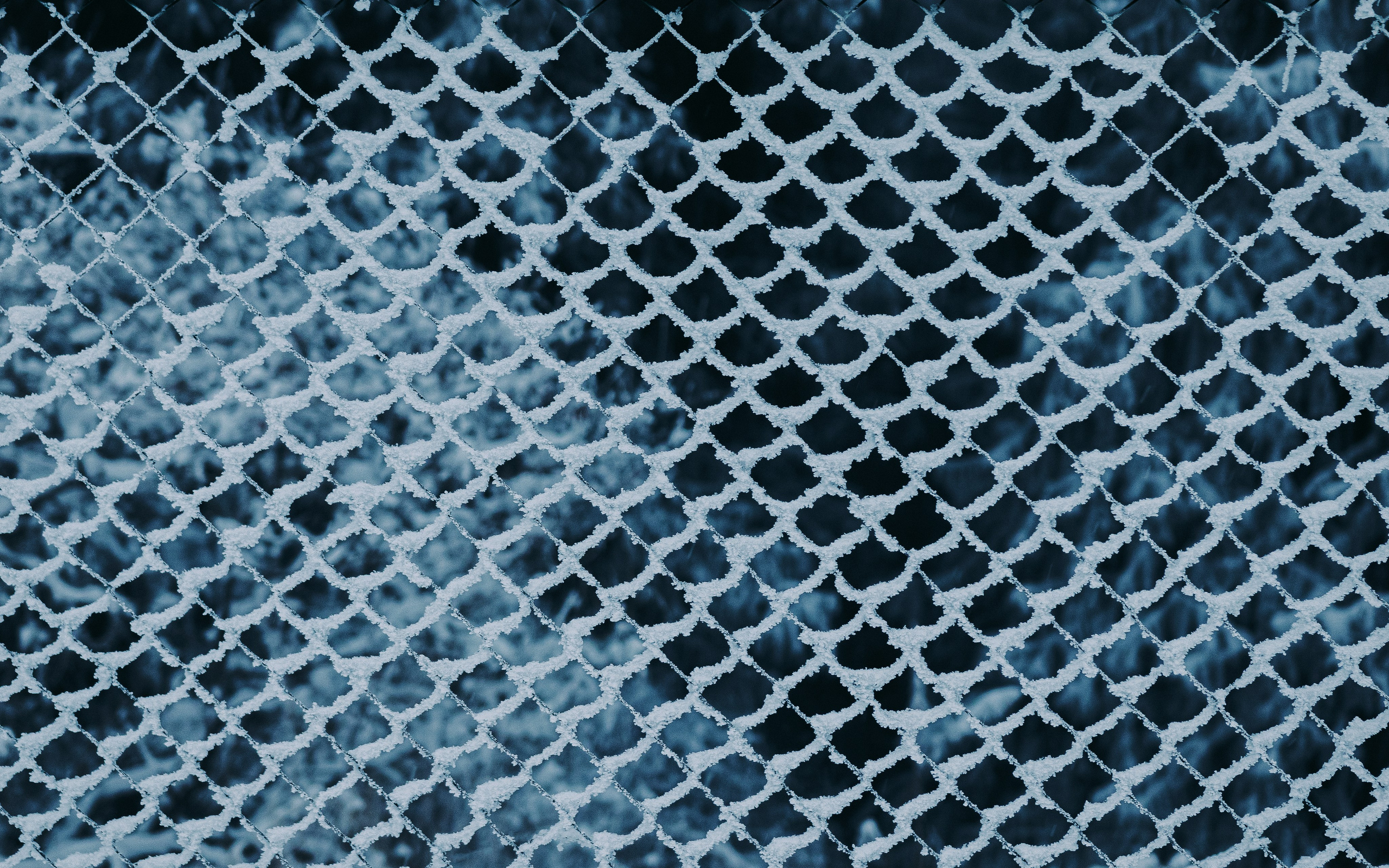 Жизнь. Фотограф Алматы | Весь мир — Никита Колодин