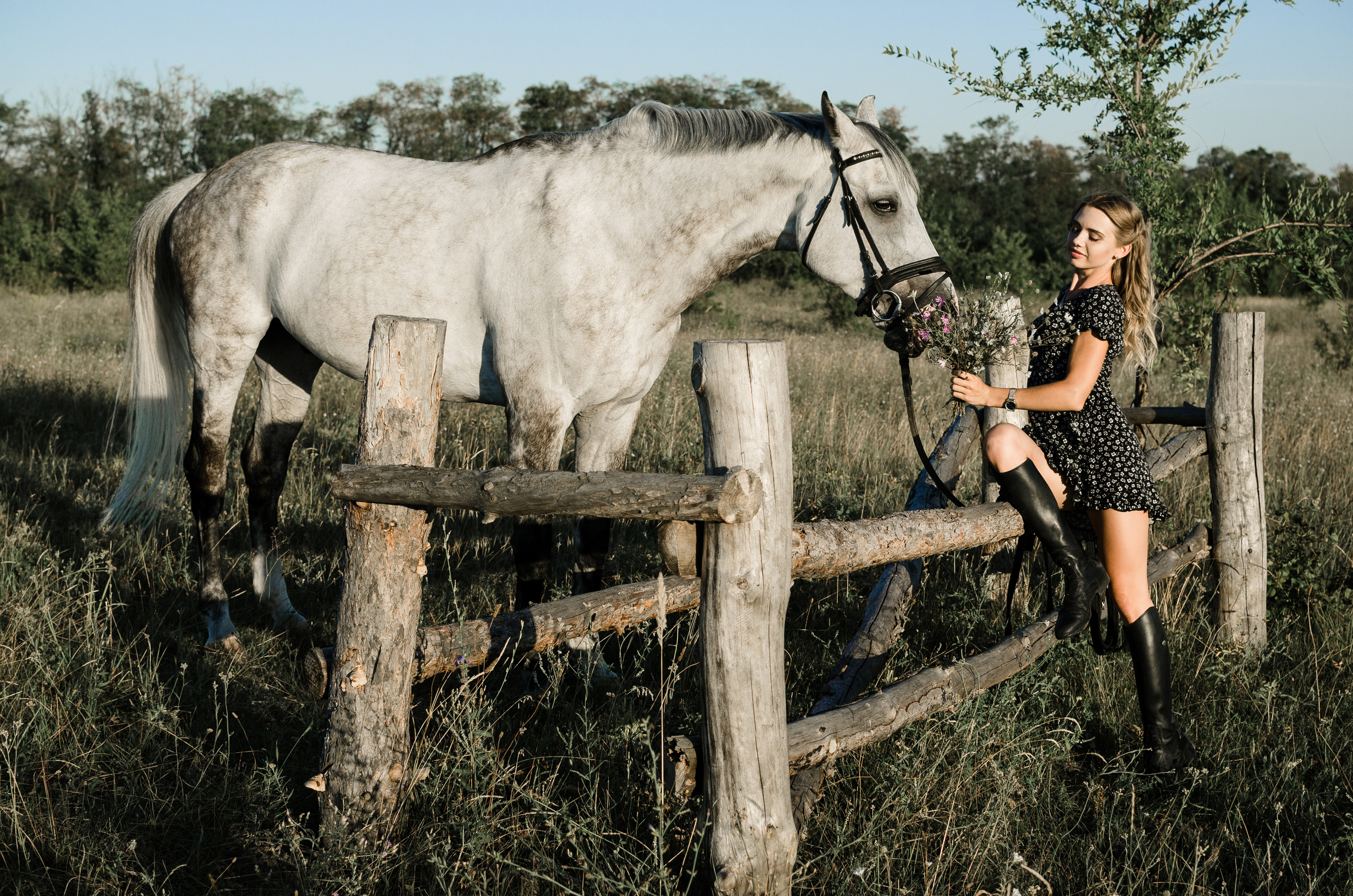 Оля с конем в поле. Фотограф в Каменске-Шахтинском Ольга Сагал
