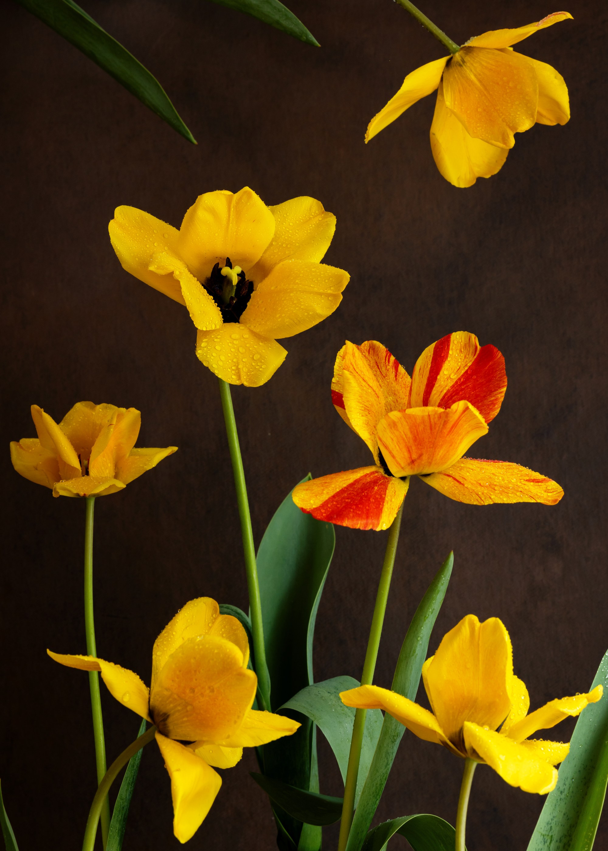 Yellow Mood. Author’s fine art prints with international delivery