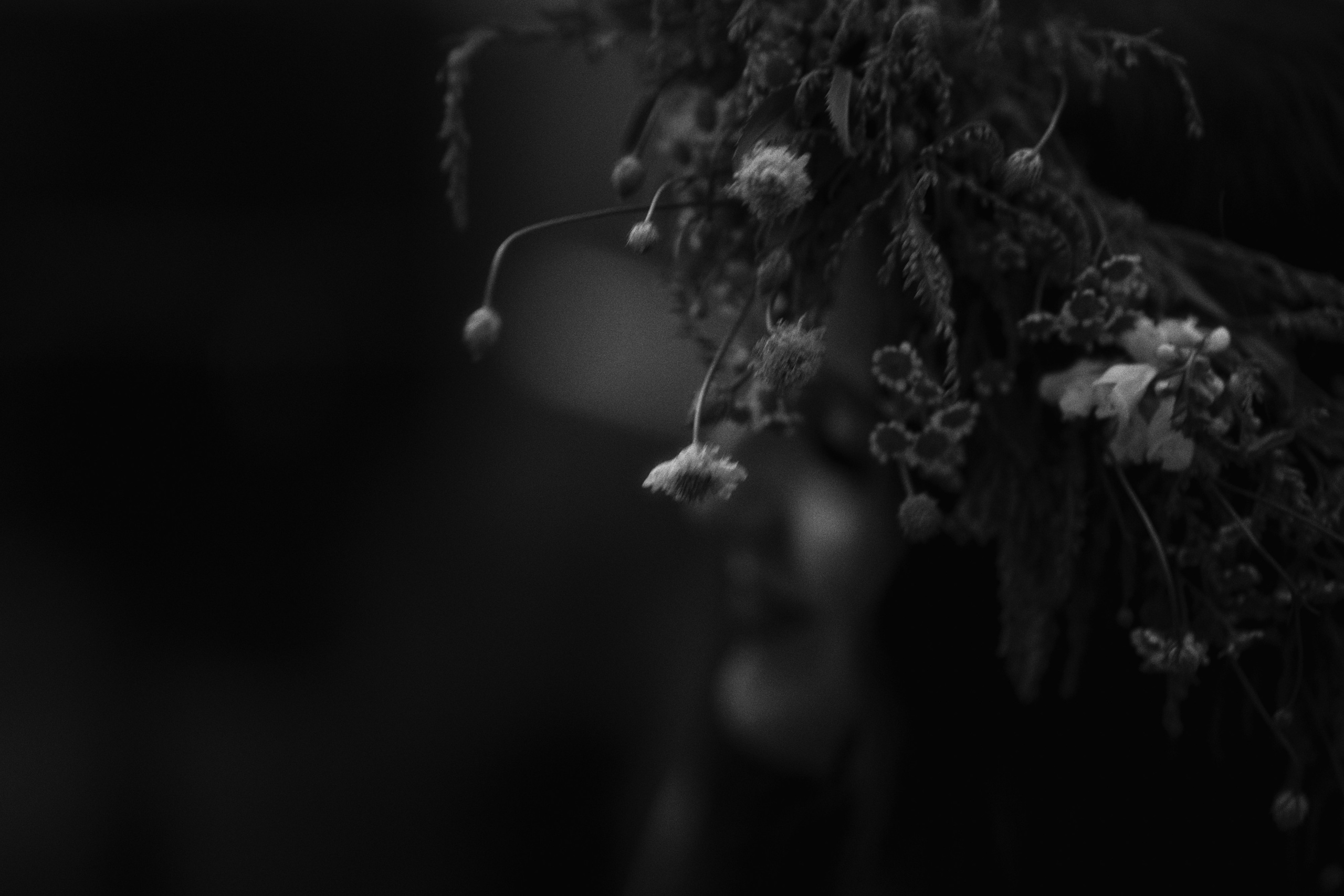 Café krasnodar х co-co chalet. Фотограф Юрин Евгений