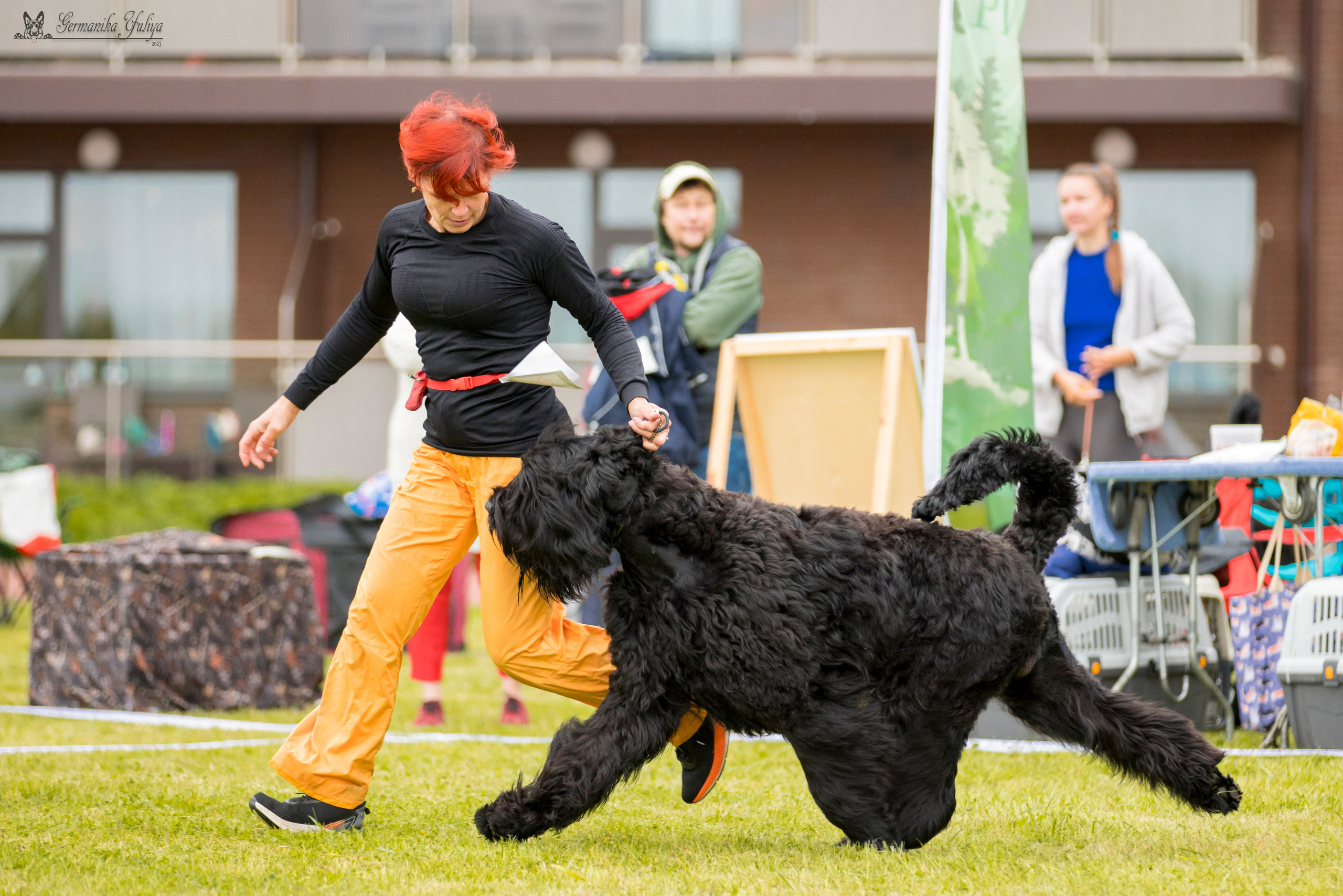 Переславль 9-10.09.2023. Фотограф-анималист Юлия Германика