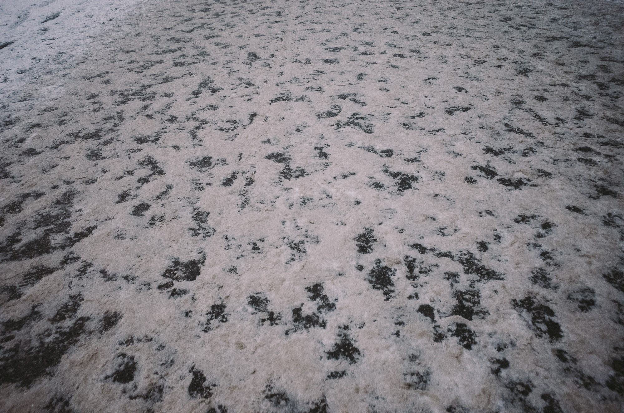 1 ЯНВАРЯ 2025. Фотограф Андрей Копий. Фотосъёмка в Нижнем Новгороде и Москве