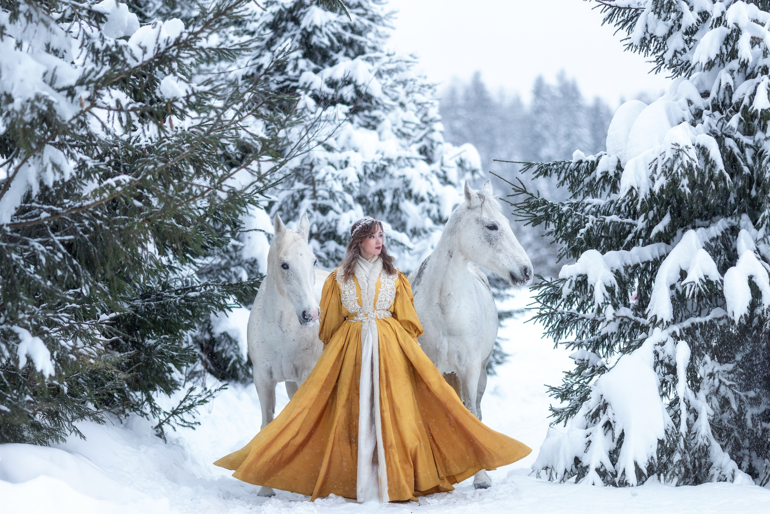 Фотосессия с лошадью зимой. Фотосессии с лошадьми в Москве от фотографа Кутейниковой Светланы