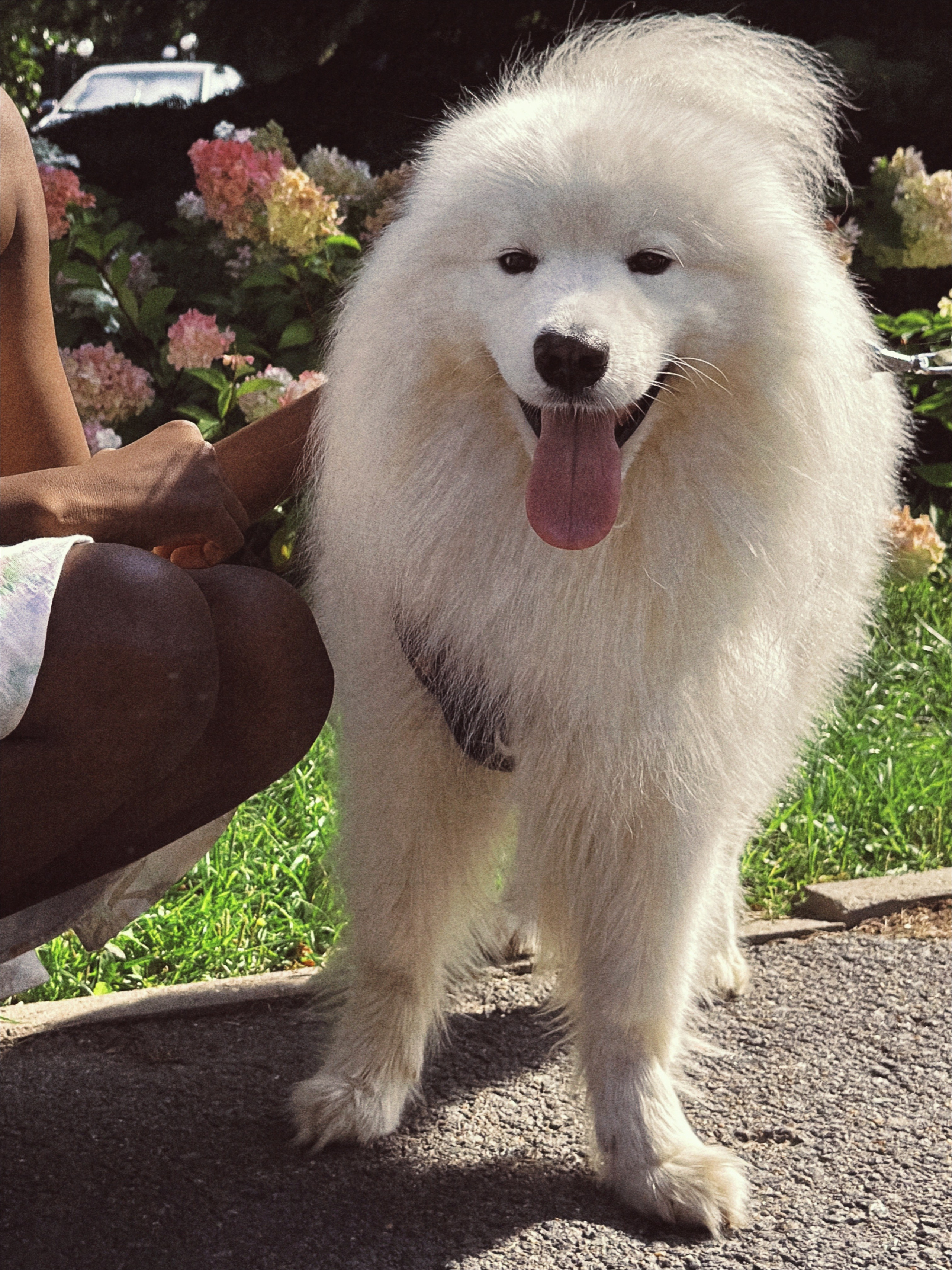 Августовская. Чувственный мобильный фотограф в Казани и Сочи Дьяченко Дарья