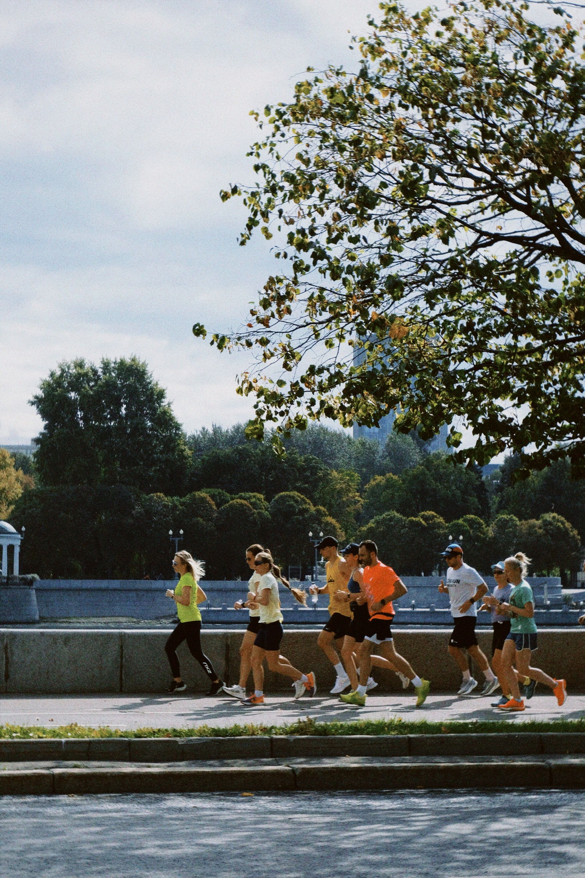 Lim/cc. Татьян гертье