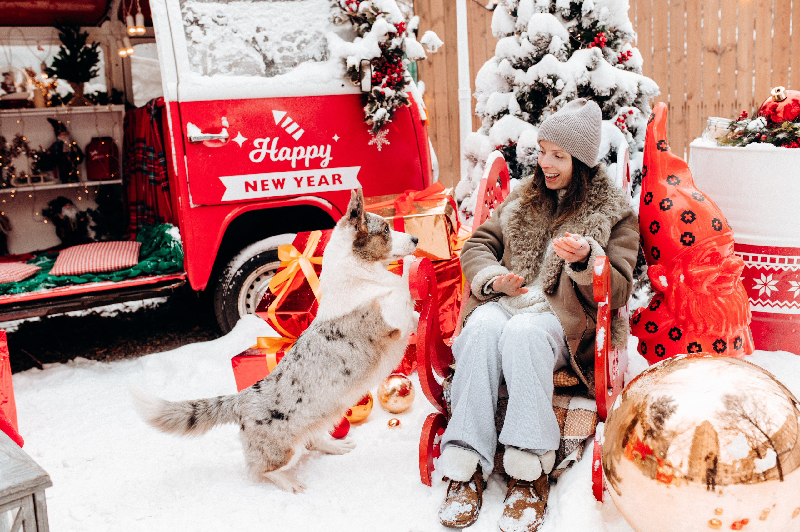 Маша и Дэф. Фотограф анималист в Москве Ольга Агушева