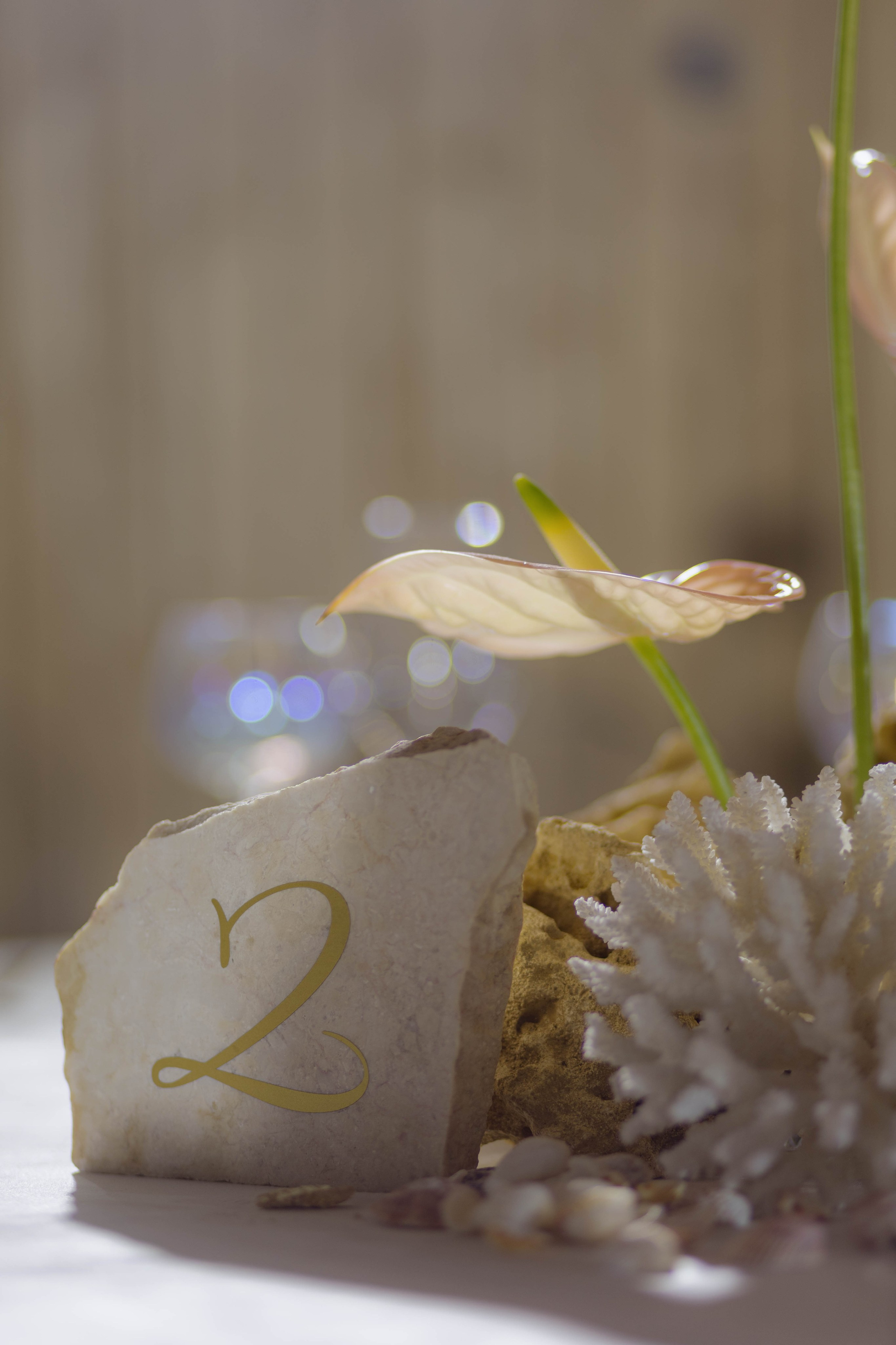 Евгений и Ангелина. Фотограф Юсова Мария