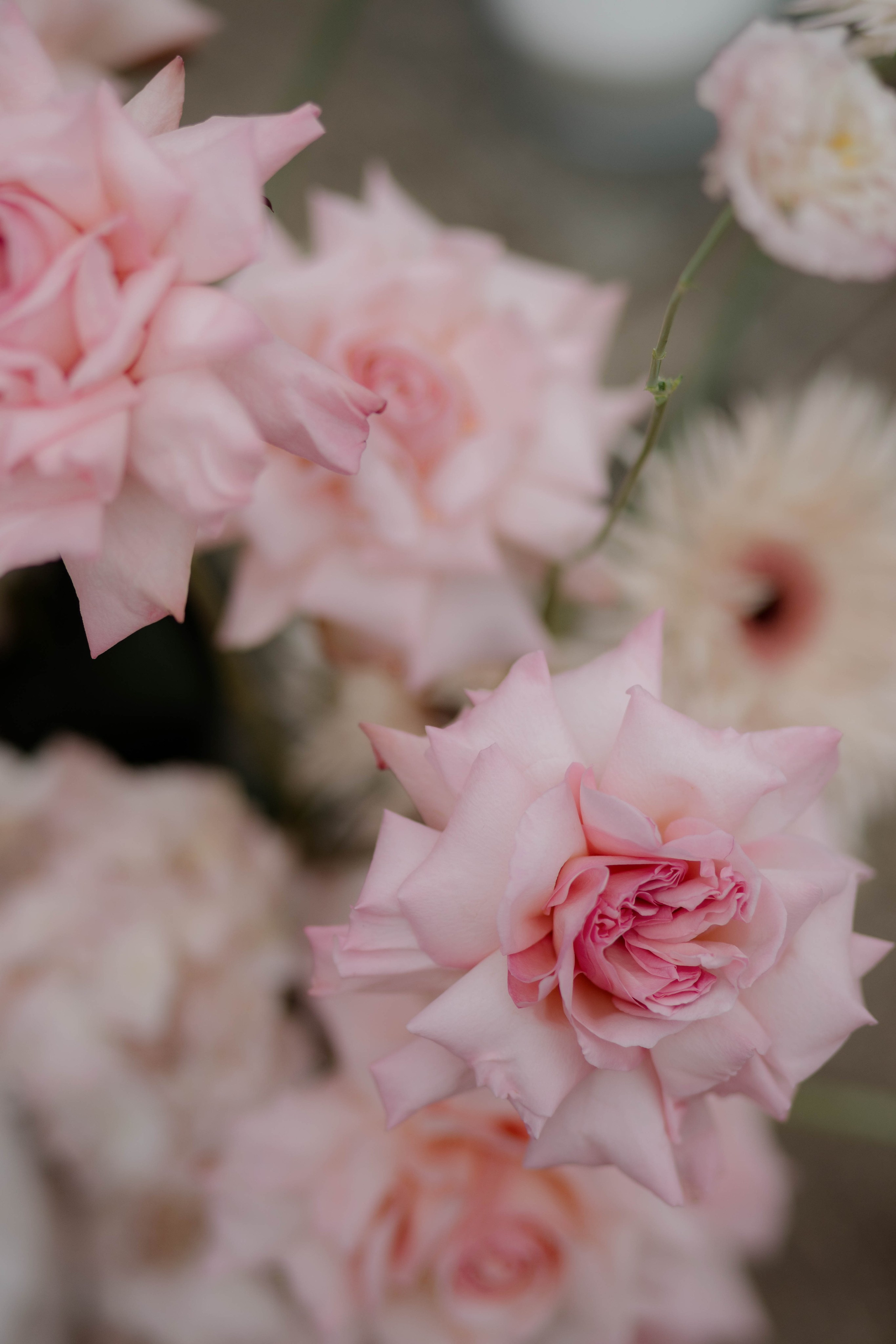 Никита и Мария. Фотограф Юсова Мария