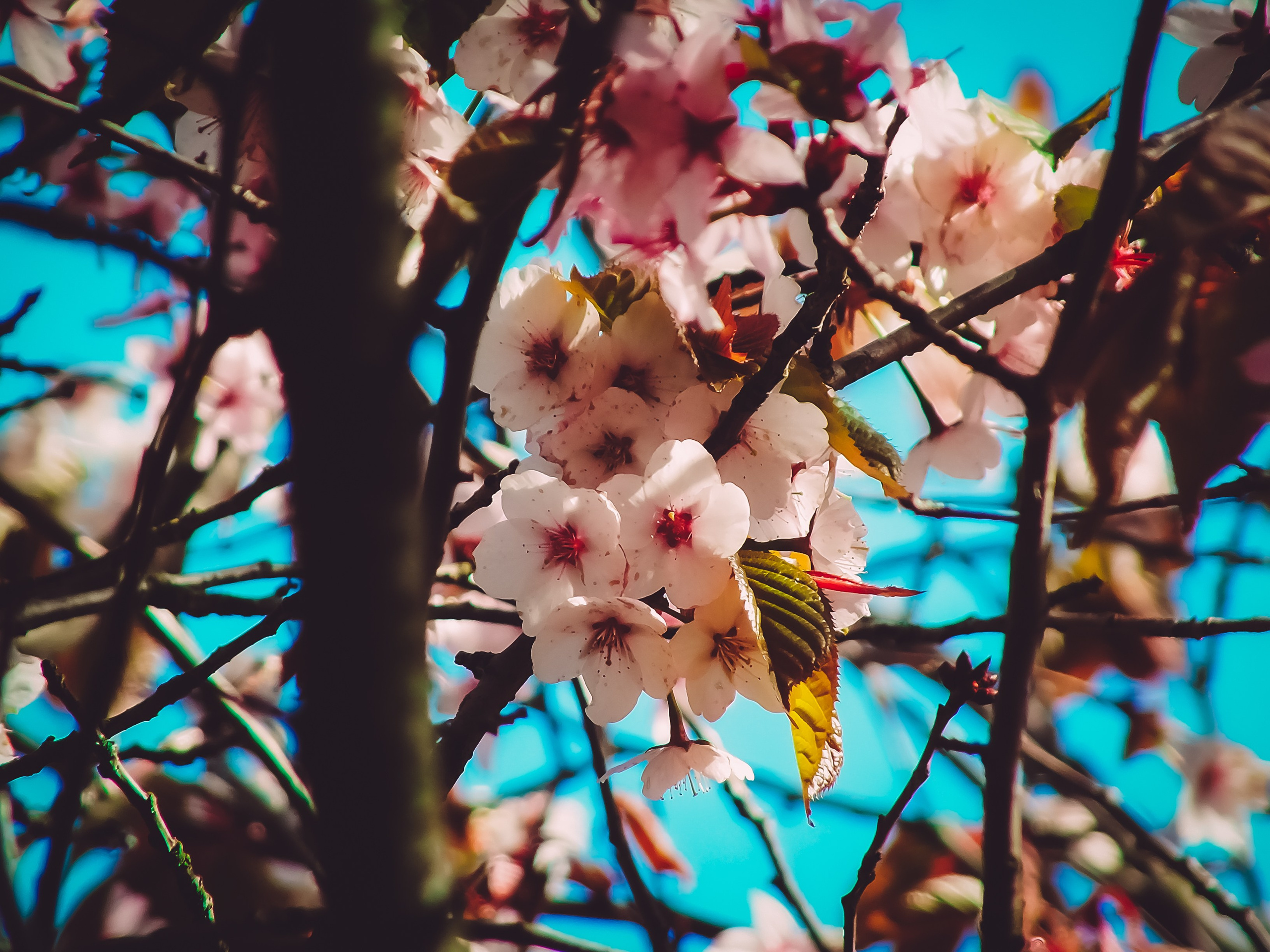 Fuji. Портретный фотограф DanilNabody