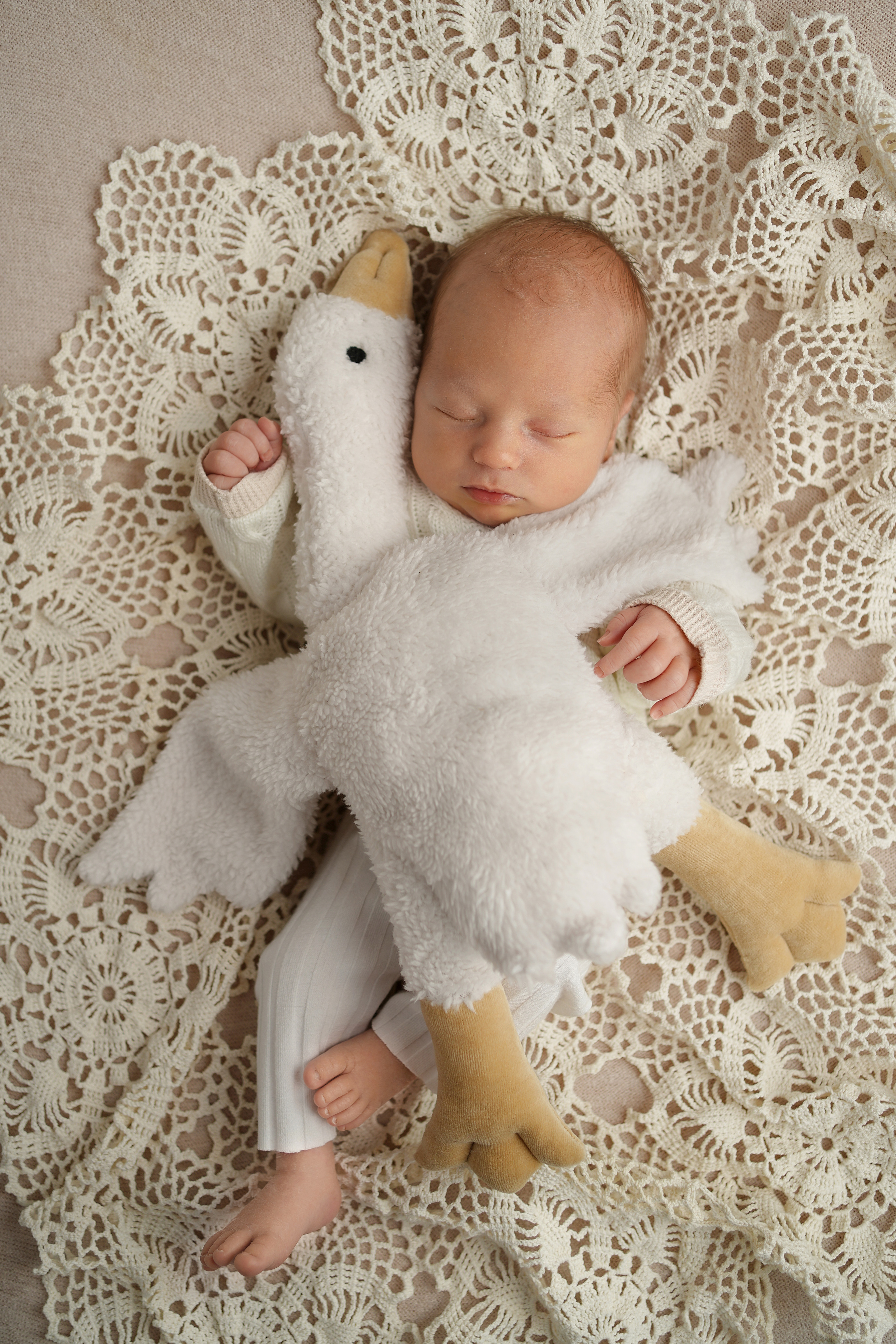 Детская фотосессия новорожденных мальчиков. Детский фотограф и фотограф новорожденных в Калининград Оксана Иваний