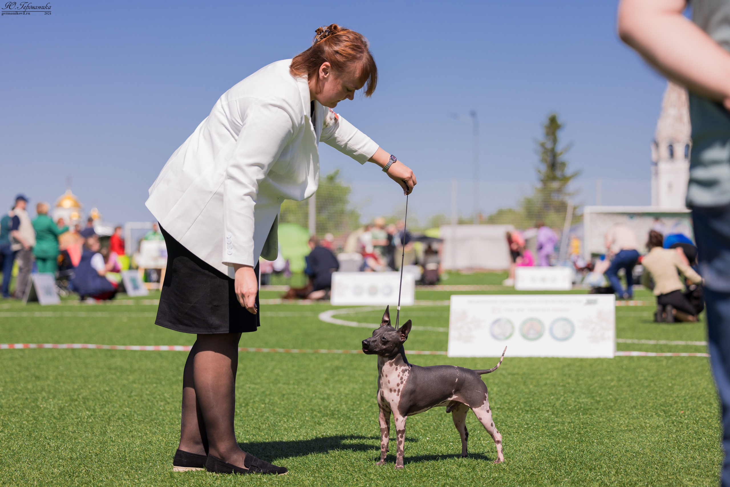 Суздаль 18-19.05.2024. Фотограф-анималист Юлия Германика