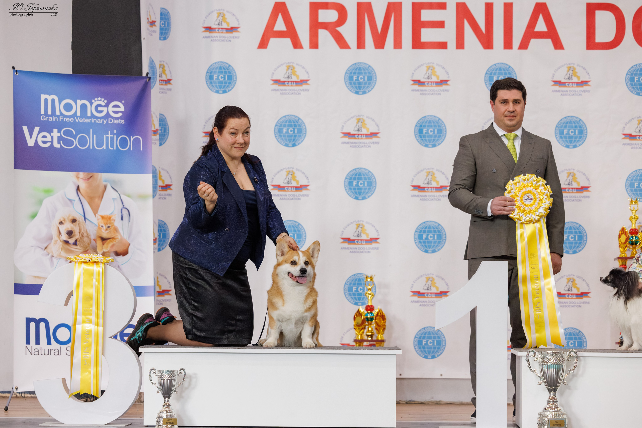 Ереван 2х CACIB 29-30.04.2025. Фотограф-анималист Юлия Германика