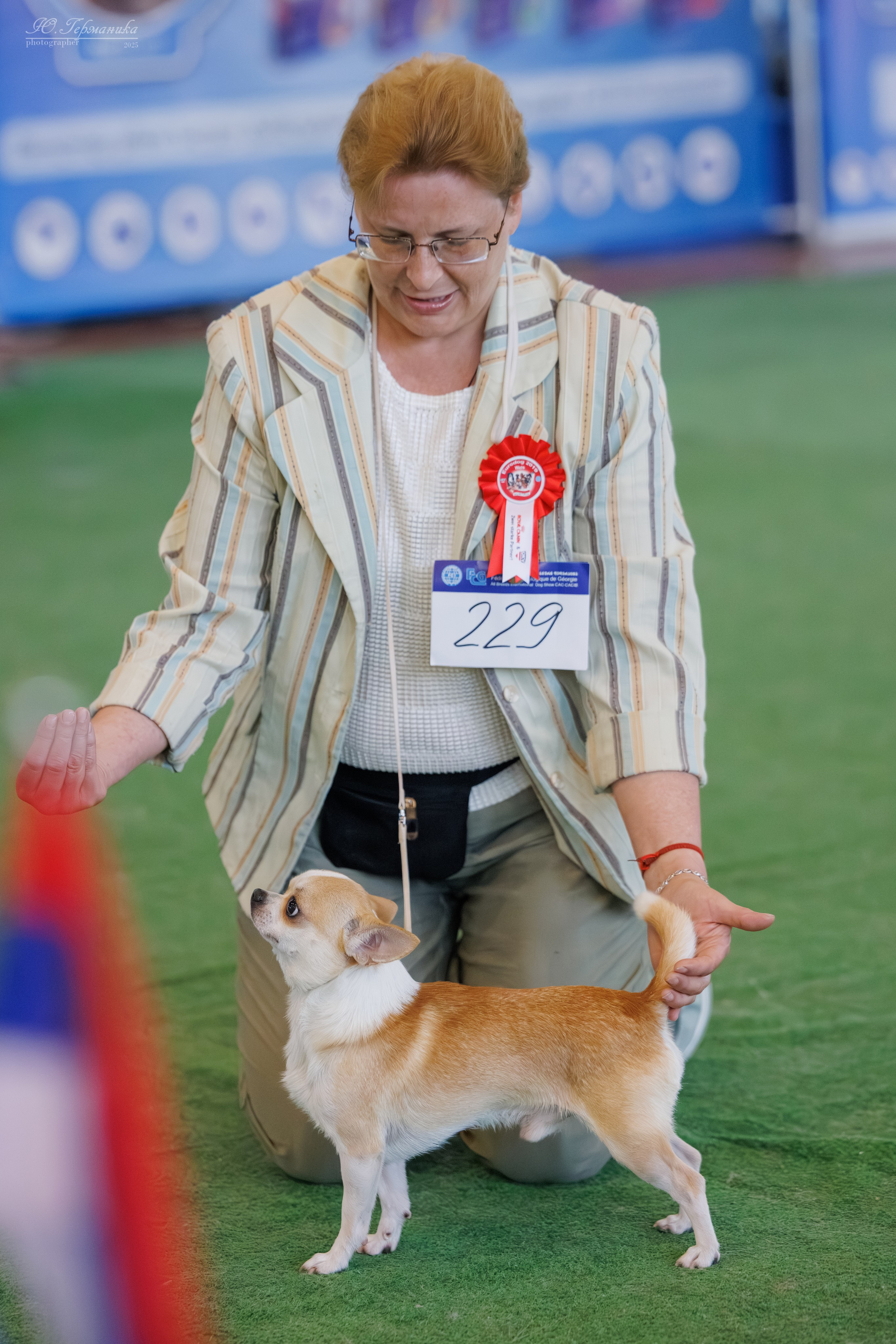 Батуми 3хCACIB 27-29.06.2025. Фотограф-анималист Юлия Германика