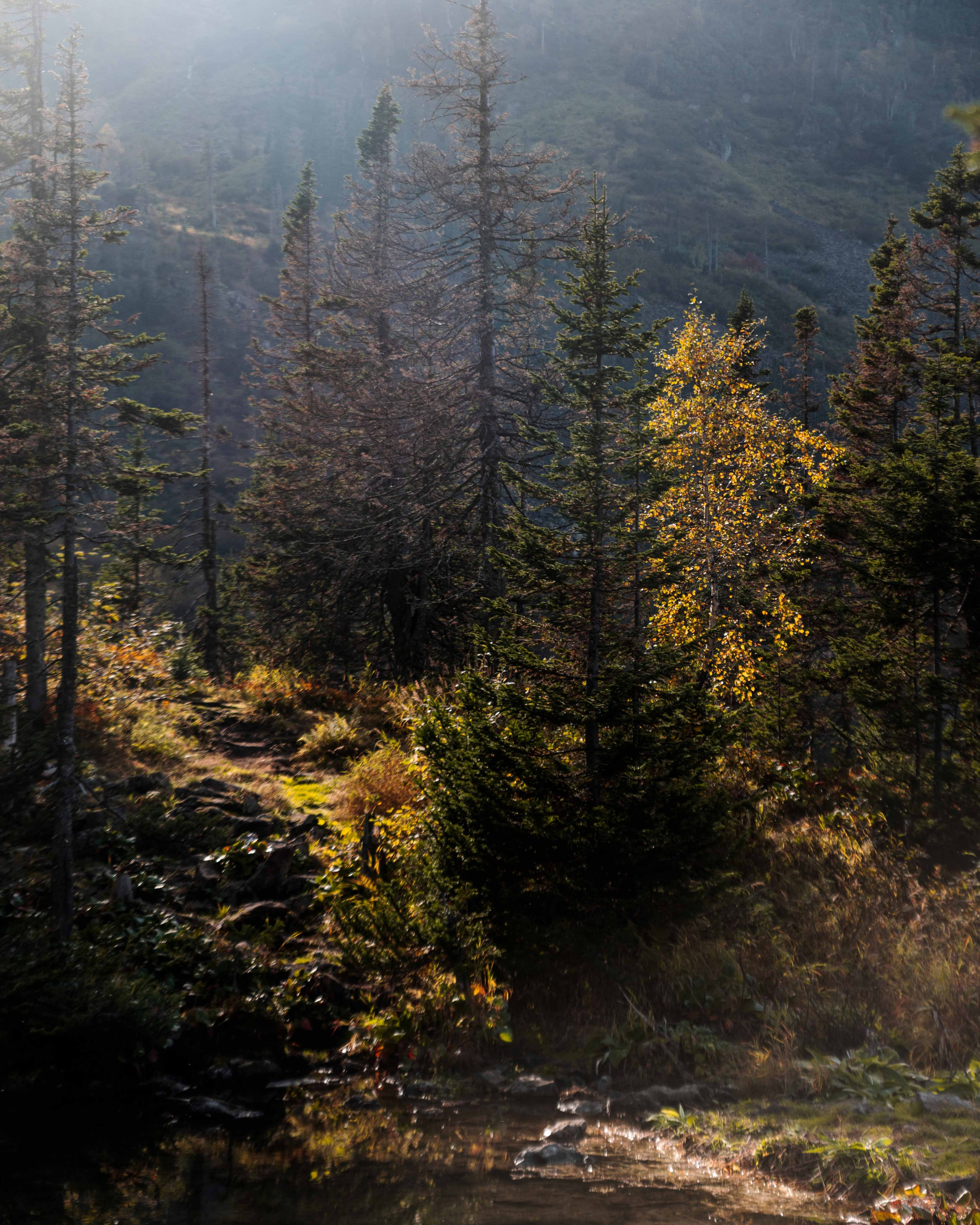 Фототуры и экспедиции по уникальным авторским маршрутам