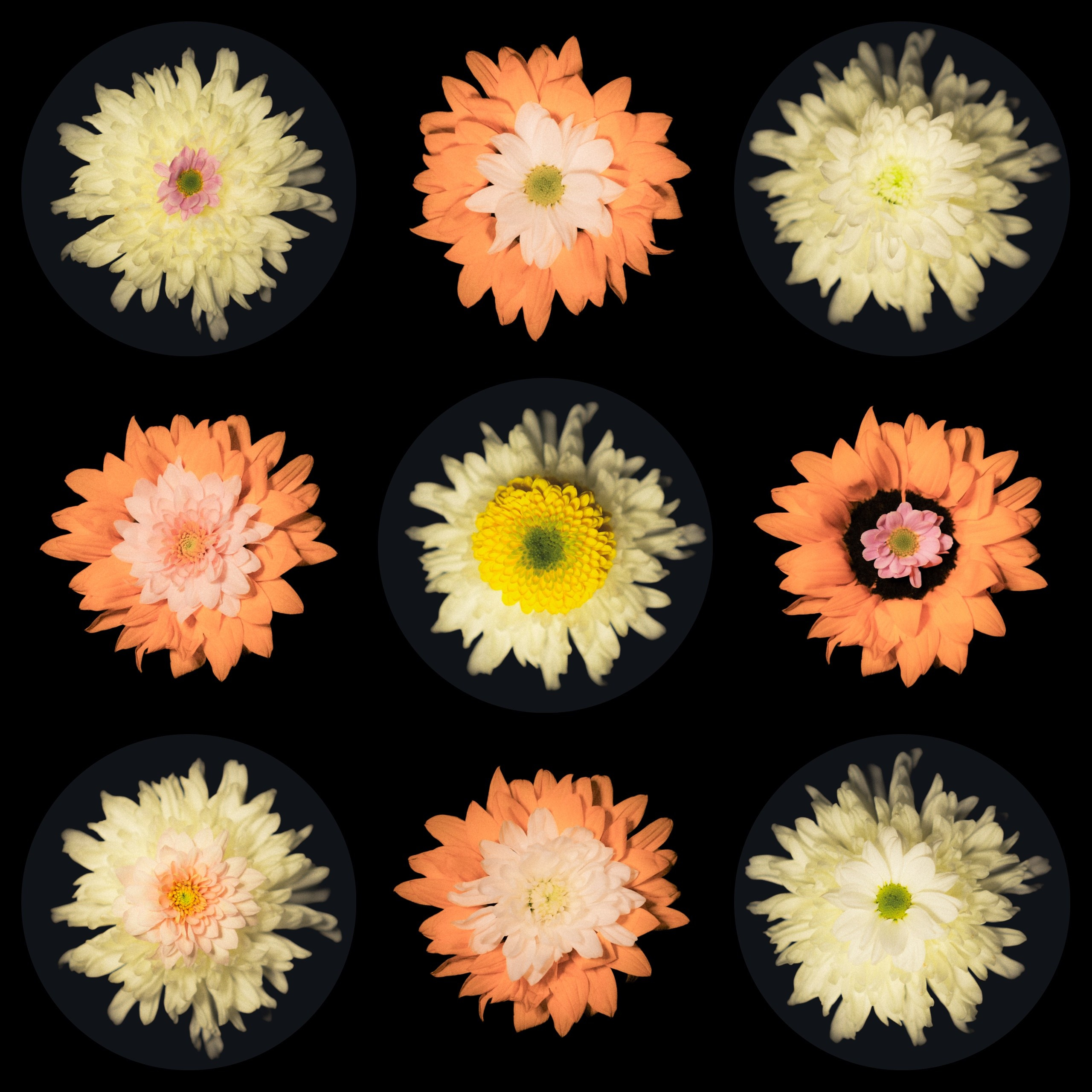 Единство (серия). Мистические фотосессии в Санкт-Петербурге от мистика Ильи Шенгелия