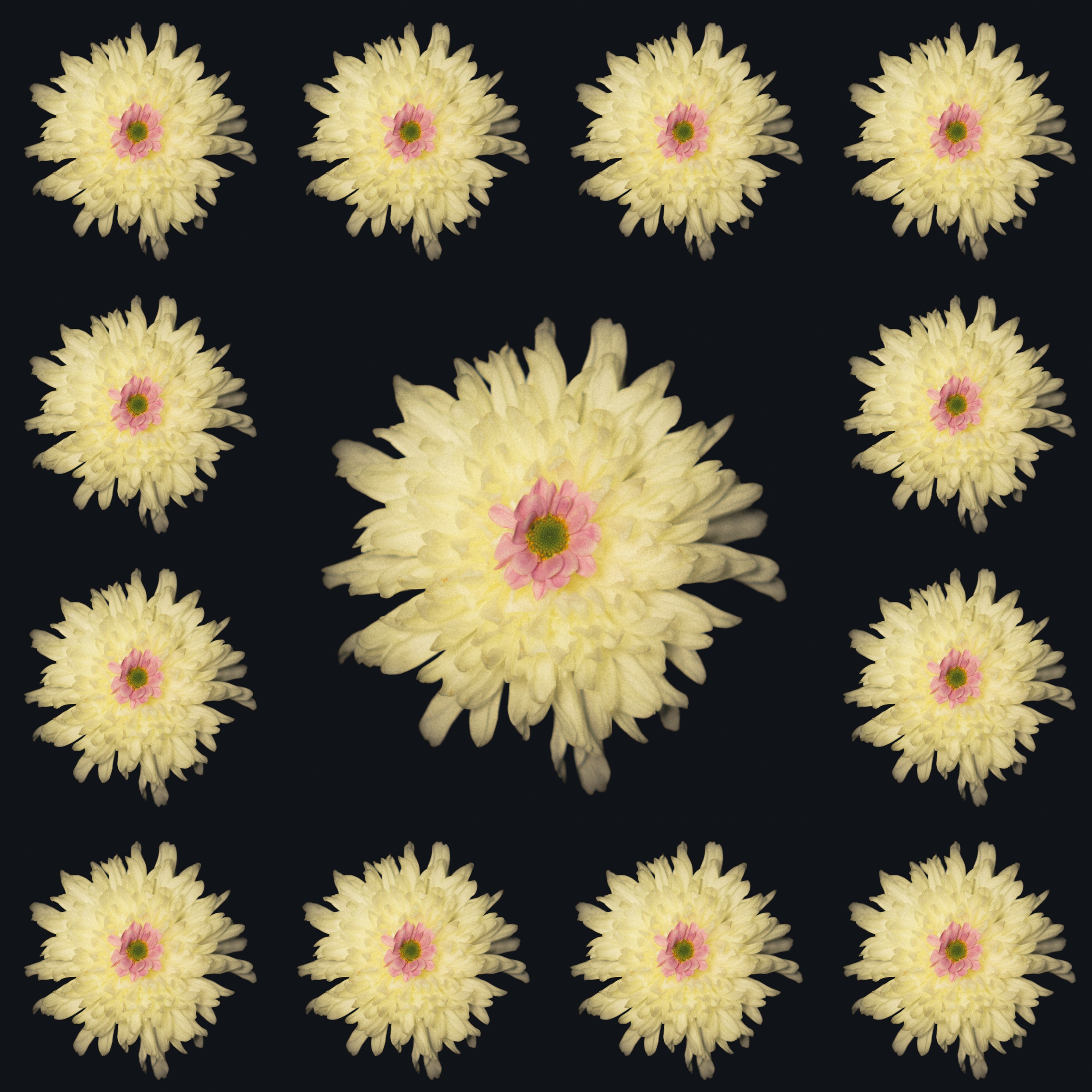 Единство (серия). Мистические фотосессии в Санкт-Петербурге от мистика Ильи Шенгелия