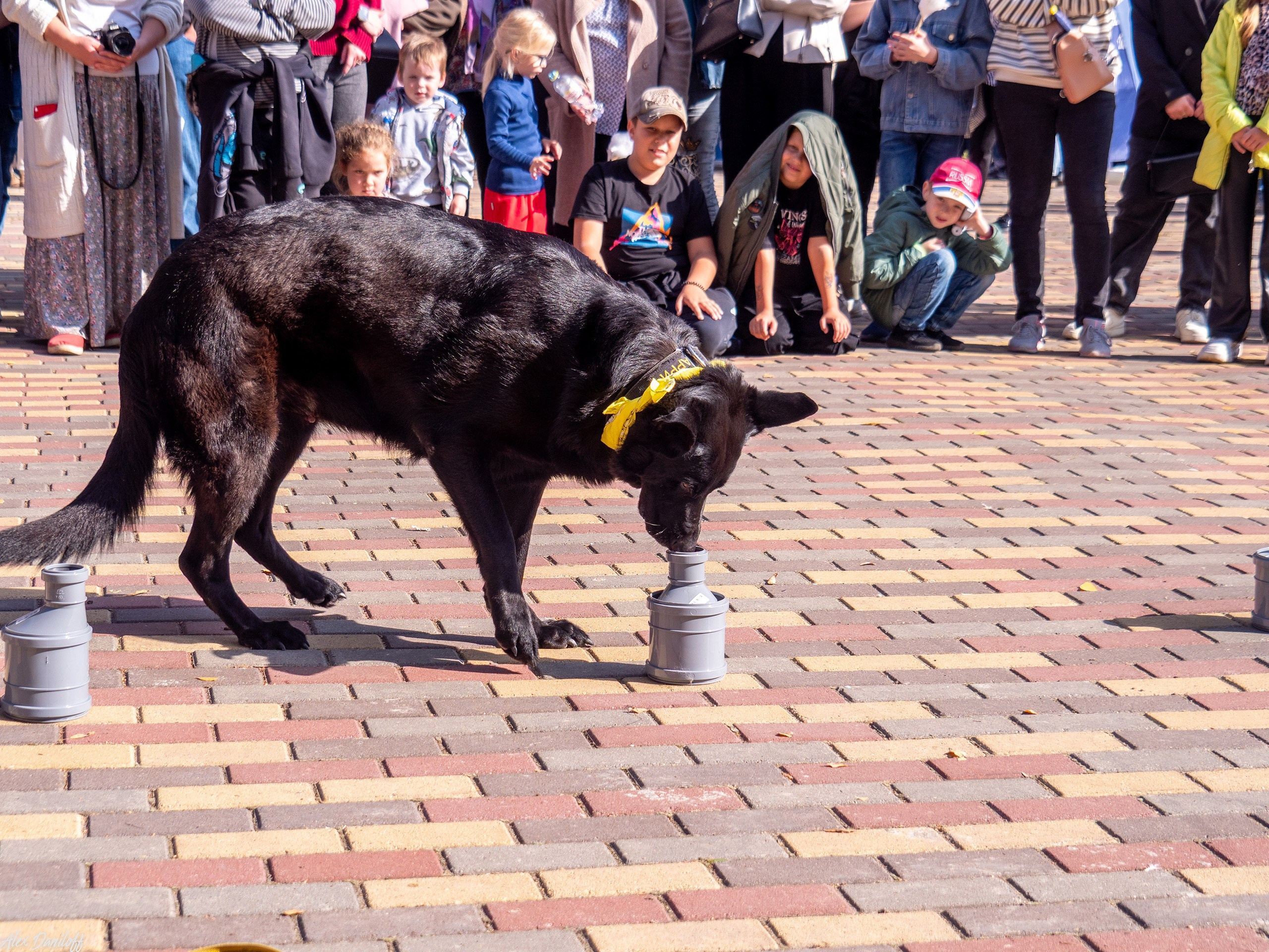 Обнимака 2025. Муром-Инфо. Новости культуры, образования, спорта в городе Муром