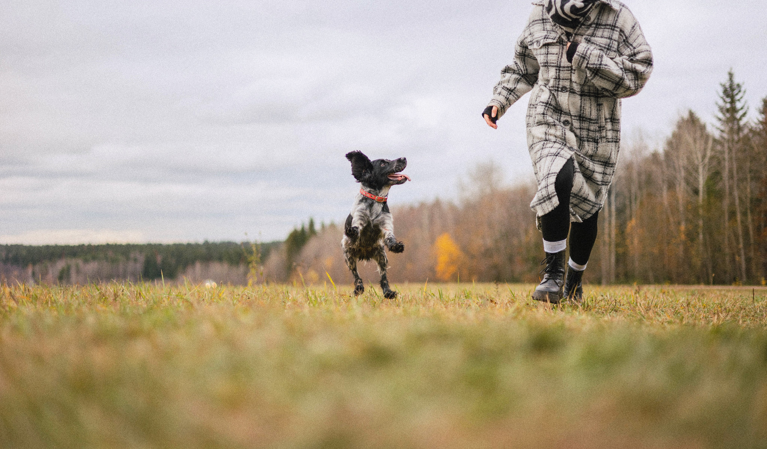 Вика и Ава. Фотограф-анималист Богданова Полина