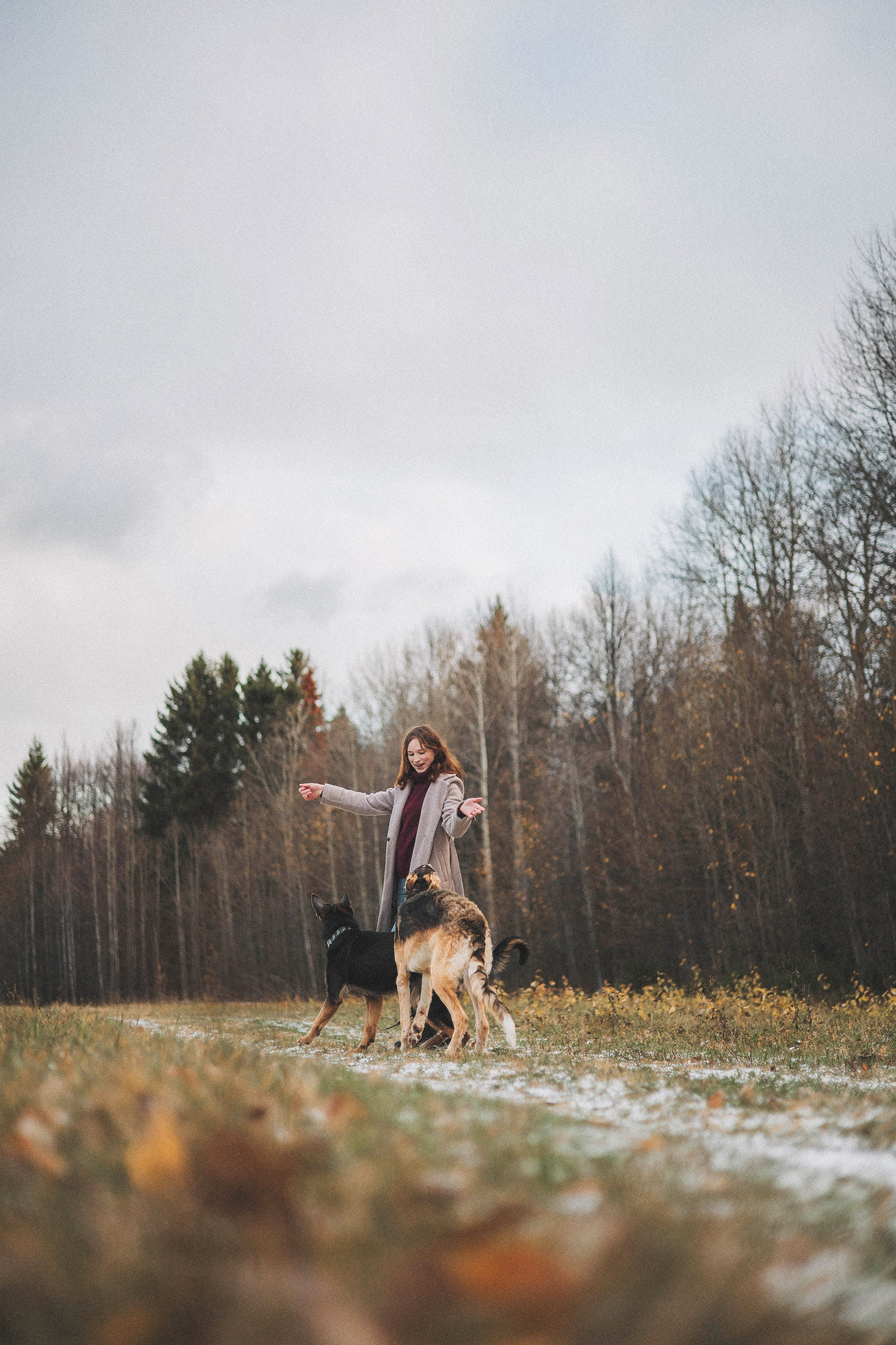 Алена, Леви и Микаса. Фотограф-анималист Богданова Полина