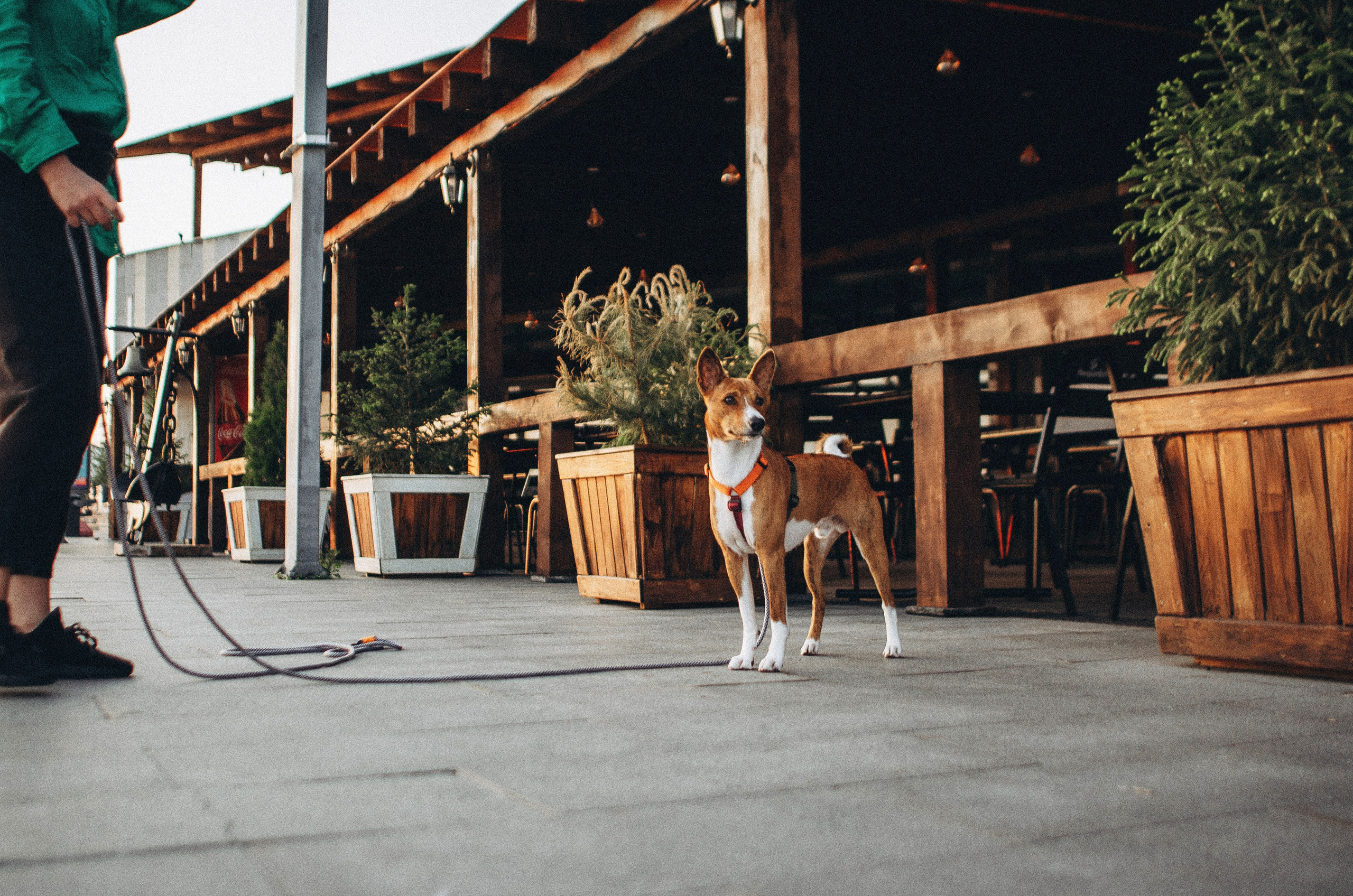 Снежана и Мэнни. Фотограф-анималист Богданова Полина