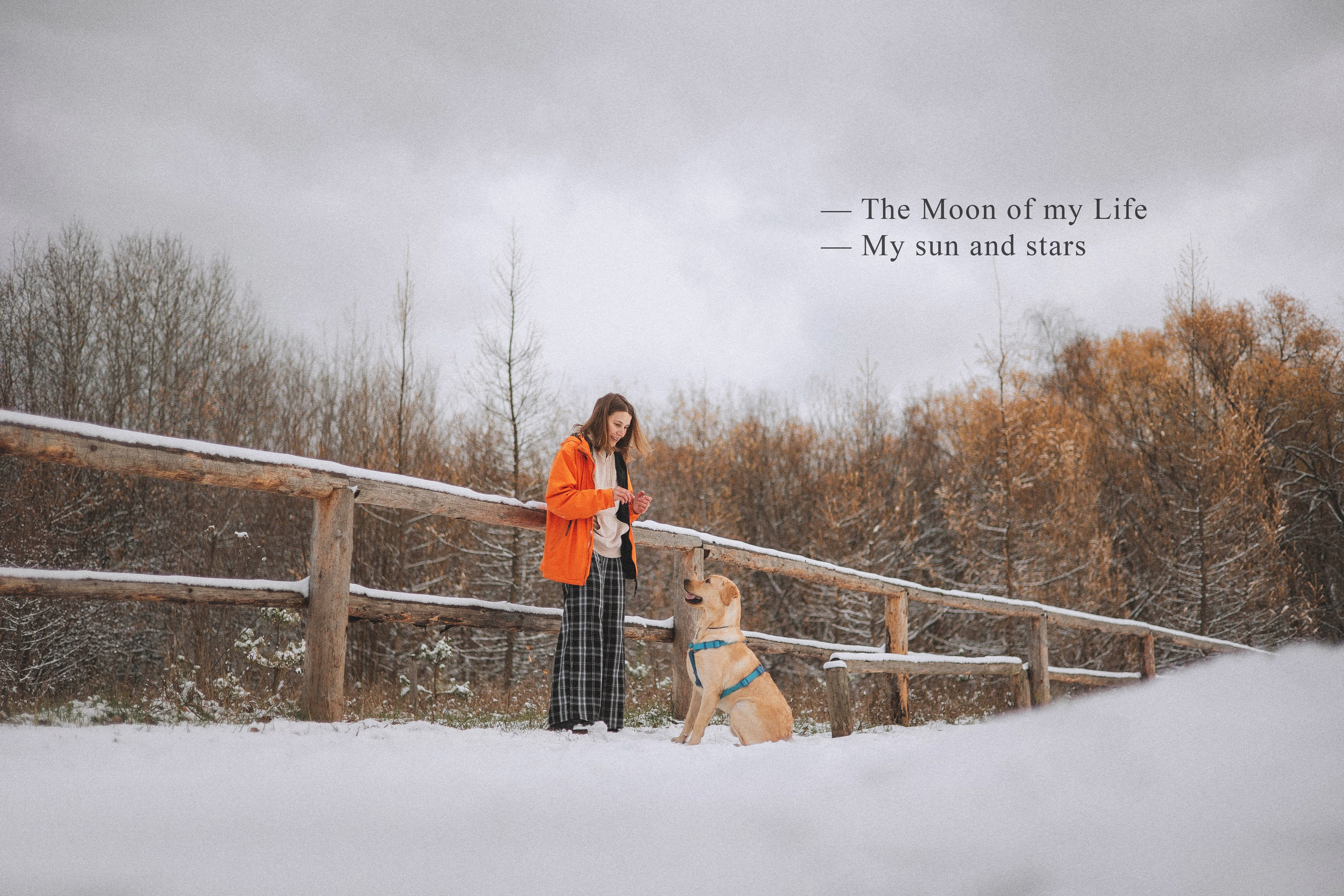 Маргарита и Варди. Фотограф-анималист Богданова Полина