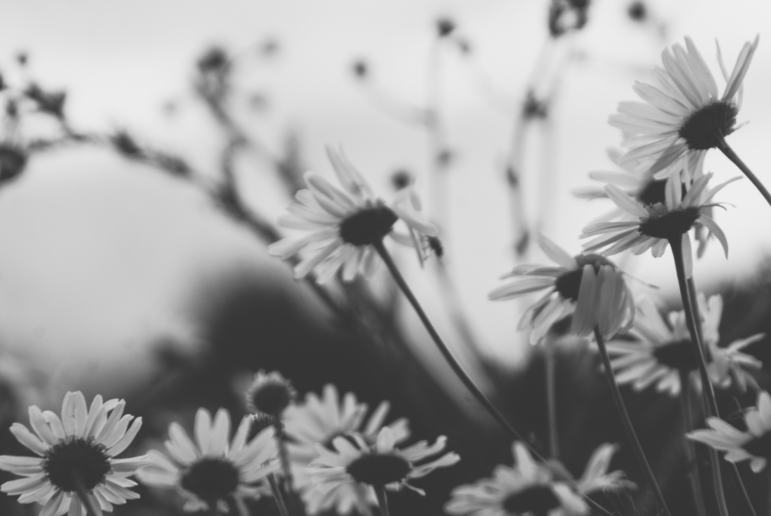 Внутривенные сны (2018-2023)