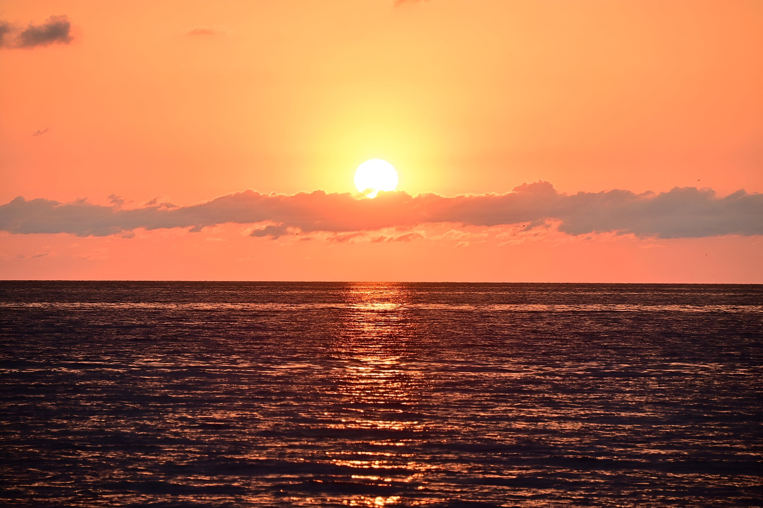 Фотограф Ваших событий 📸