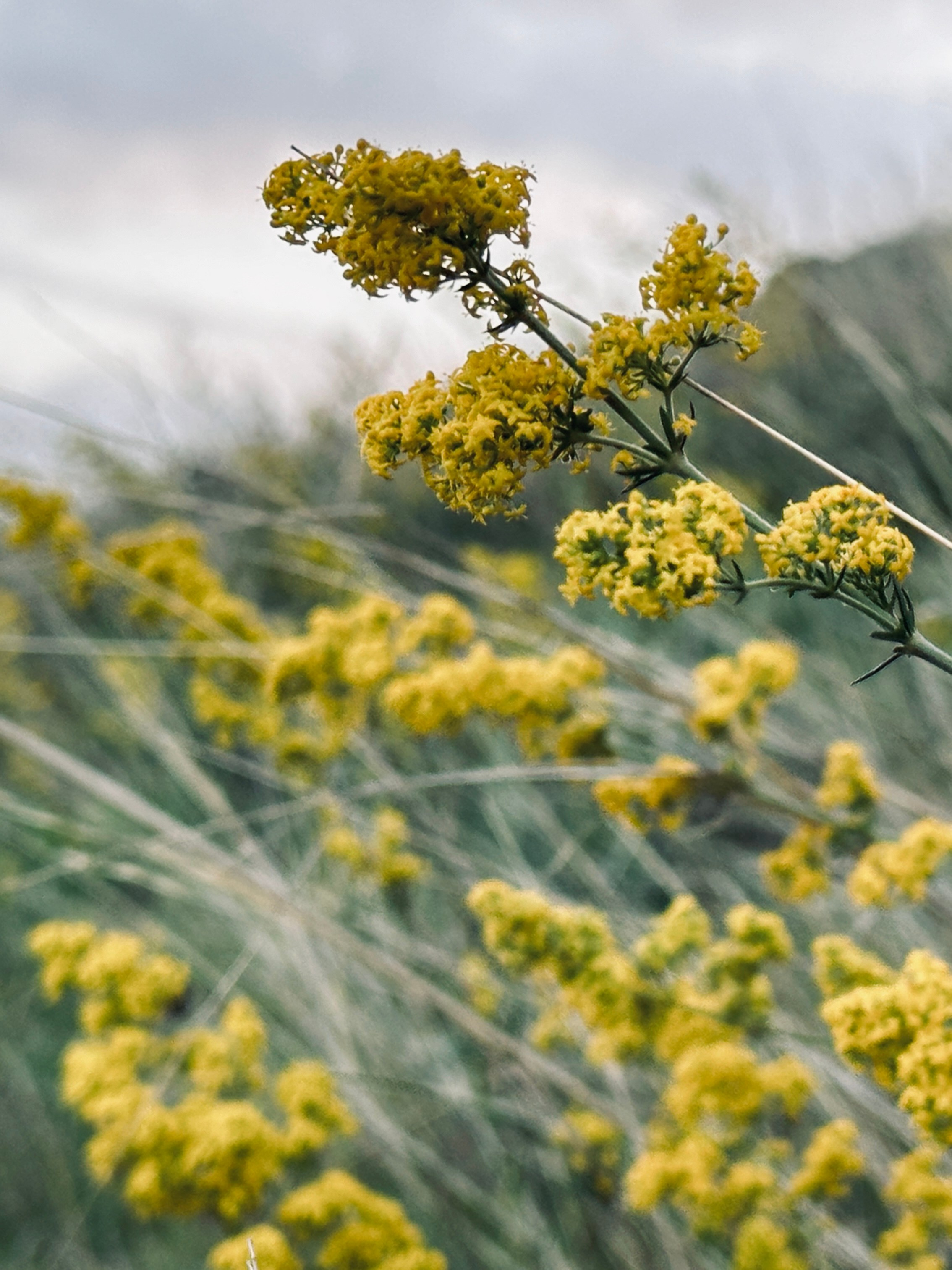 Флора и фауна. Смотри, красота!