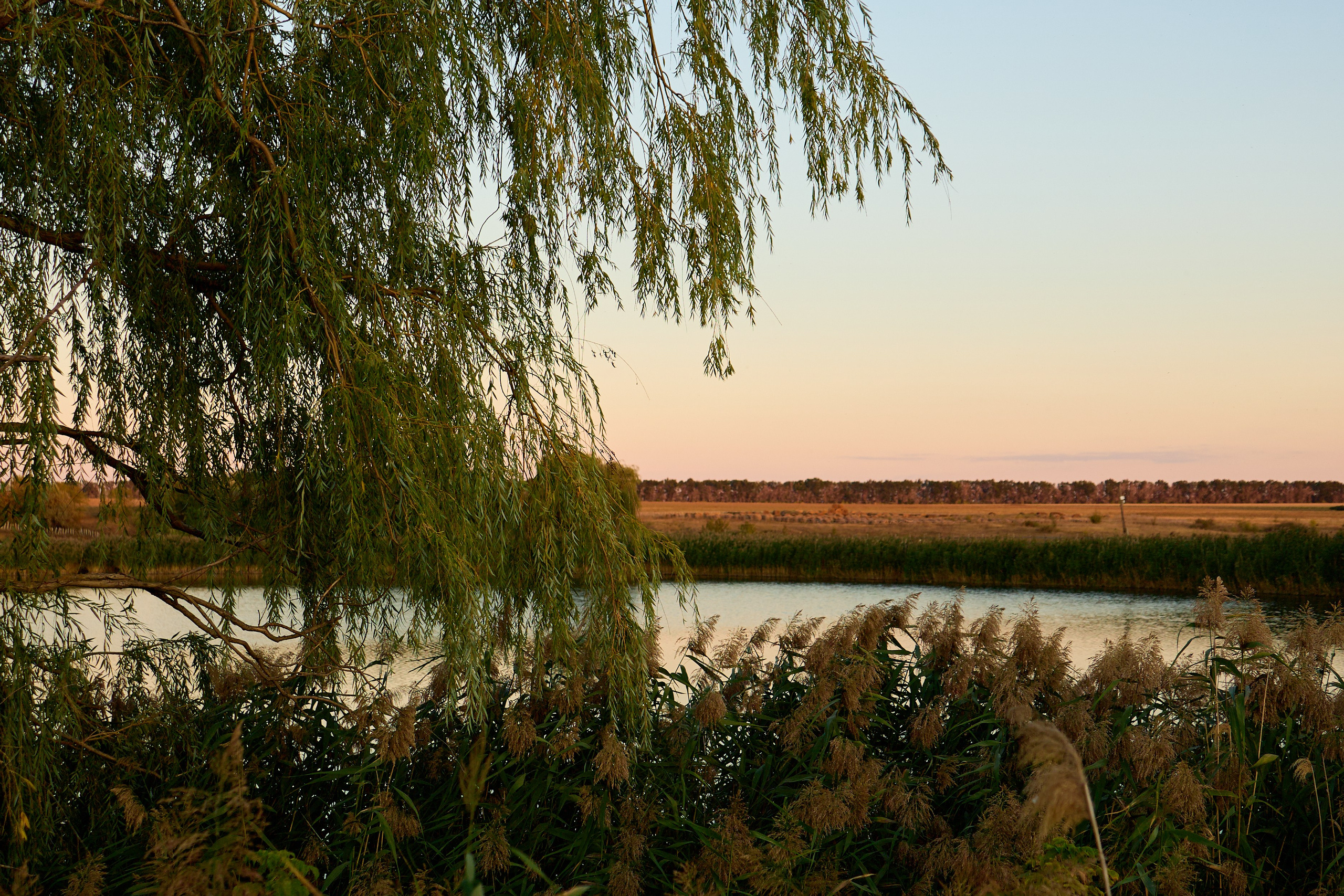 Ломы. Любовь Юсупова. Фотограф